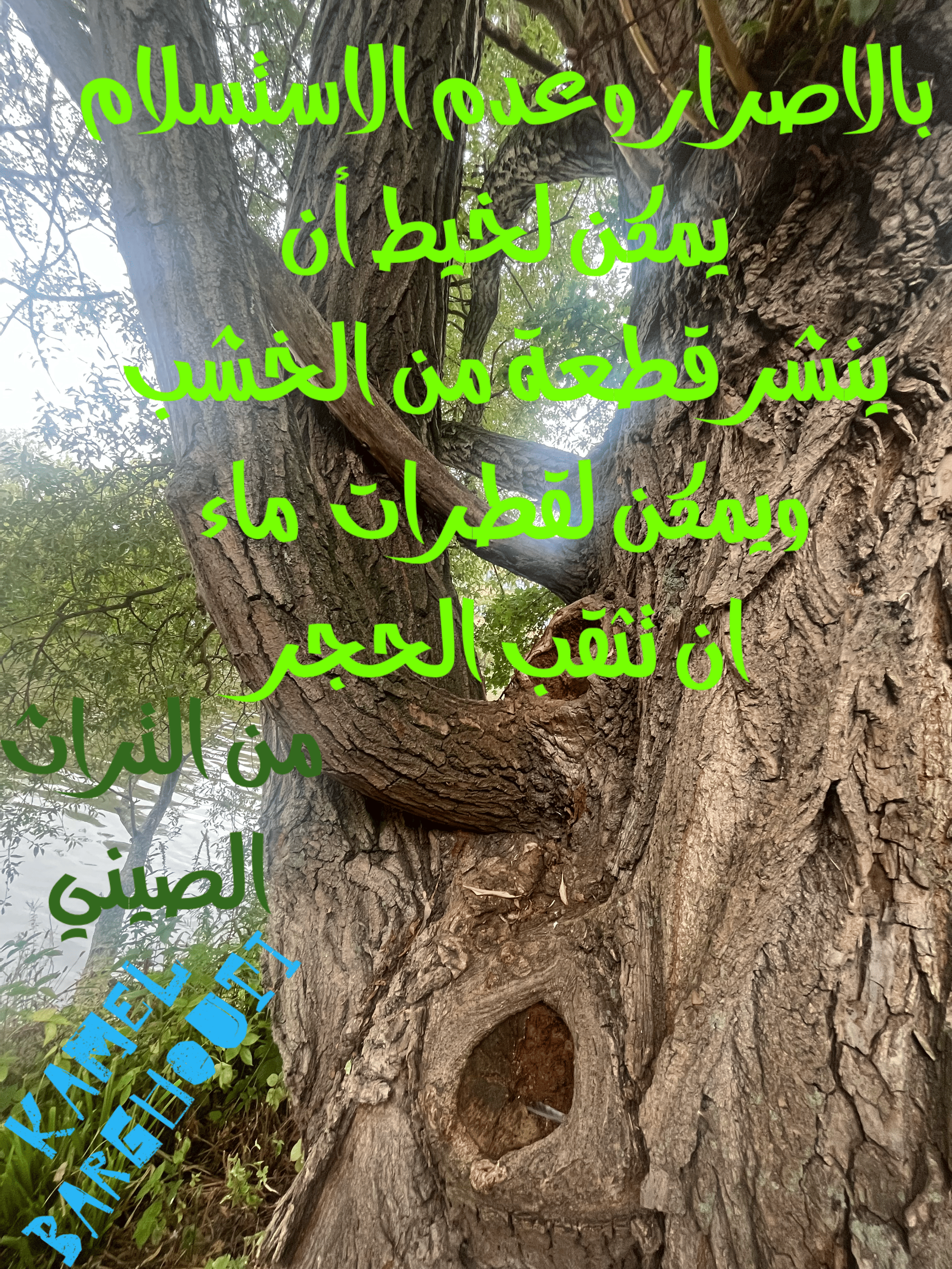 العزيمة والإصرار والثقة بالنفس – اقتباس 101