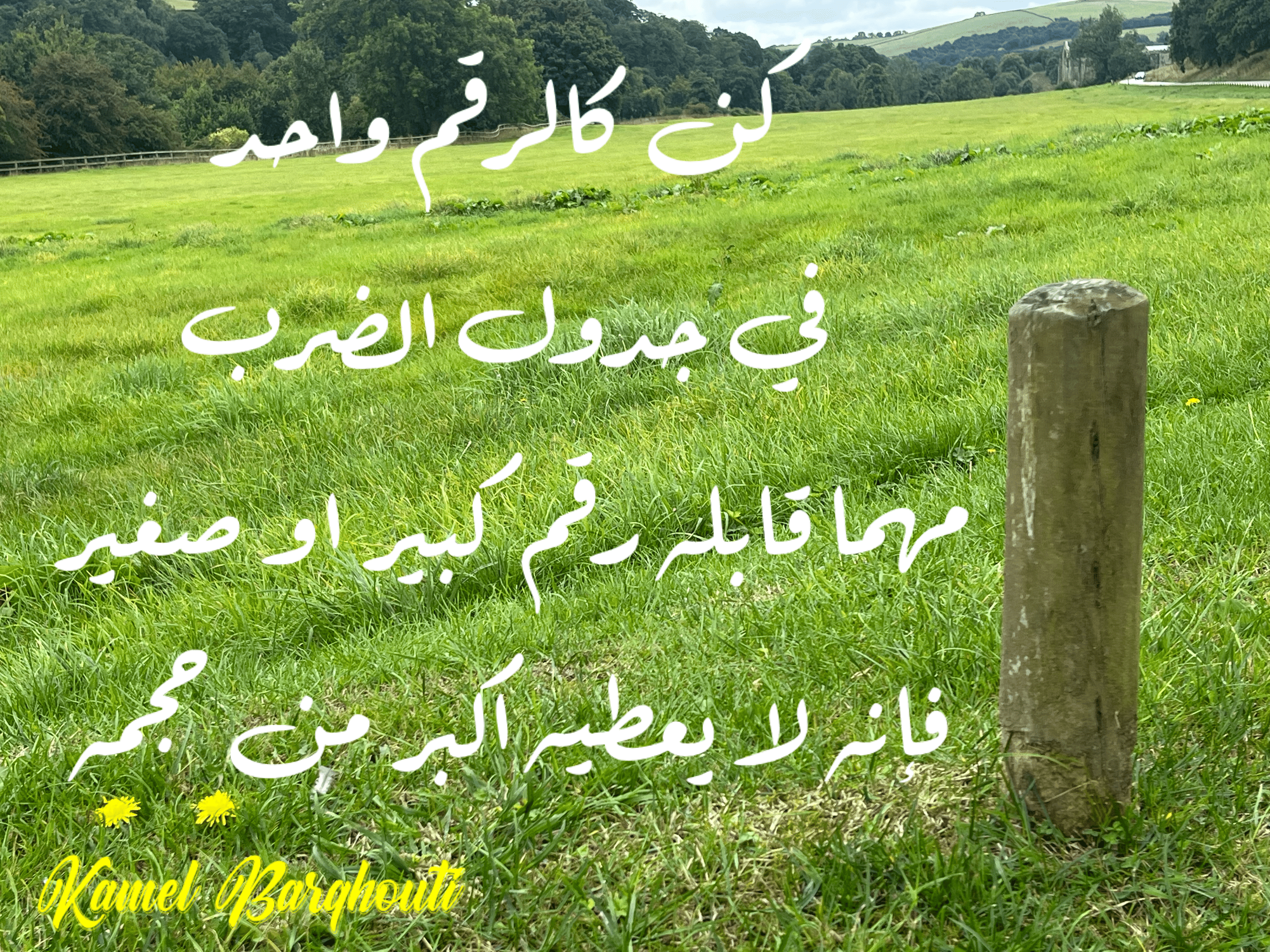 العزيمة والإصرار والثقة بالنفس – اقتباس 98
