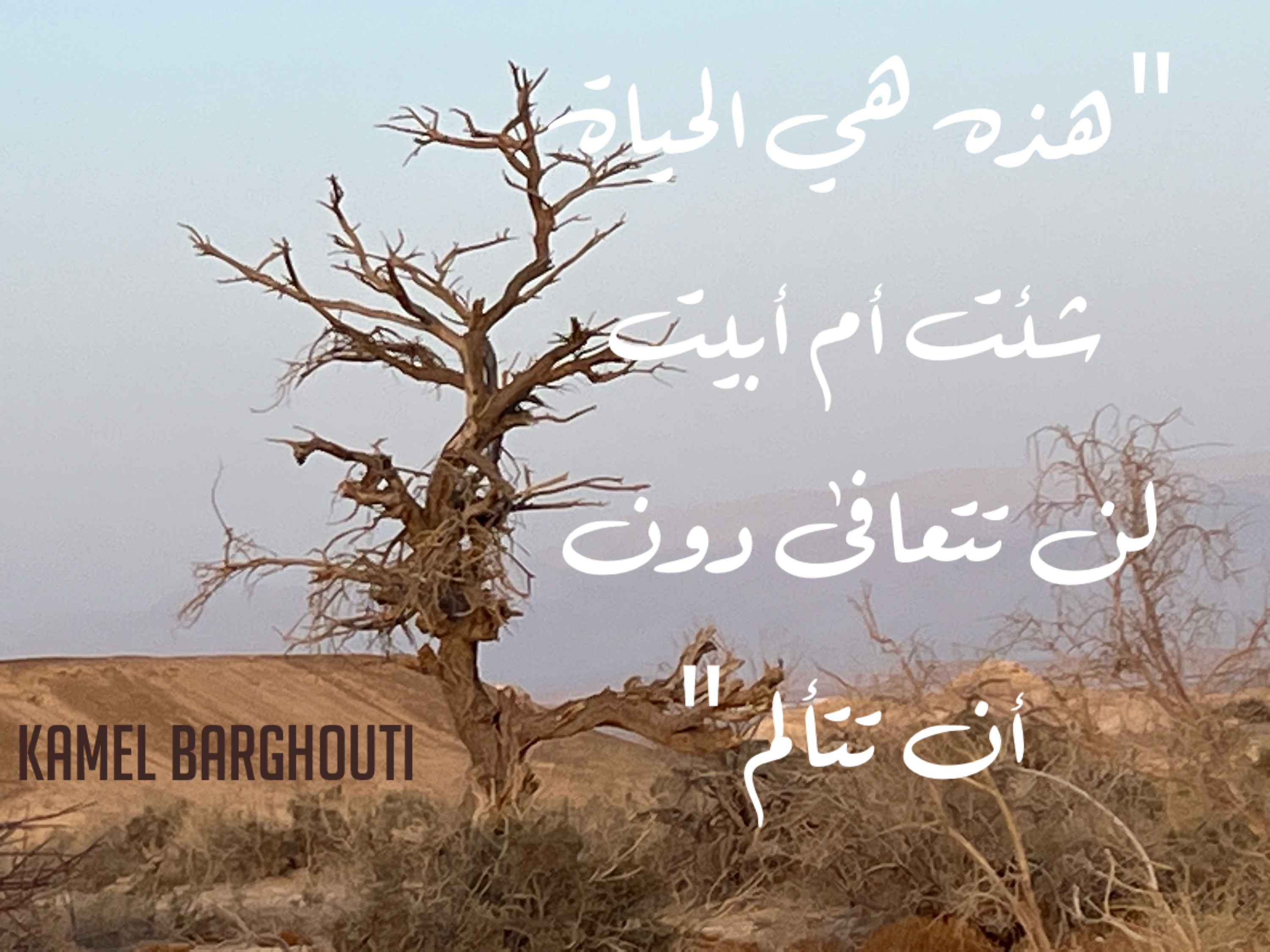 العزيمة والإصرار والثقة بالنفس – اقتباس 102