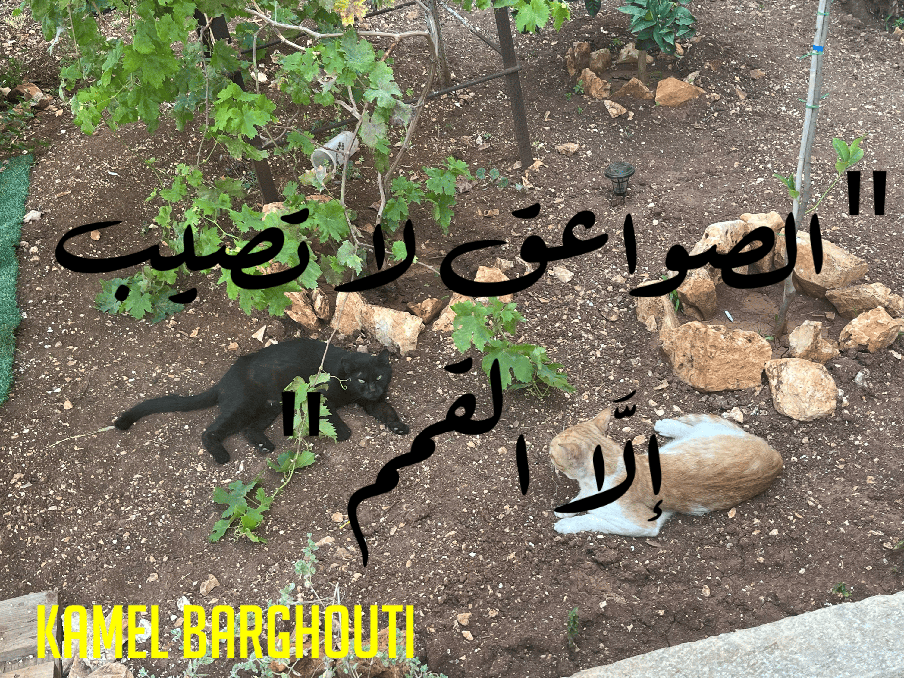 العزيمة والإصرار والثقة بالنفس – اقتباس 95