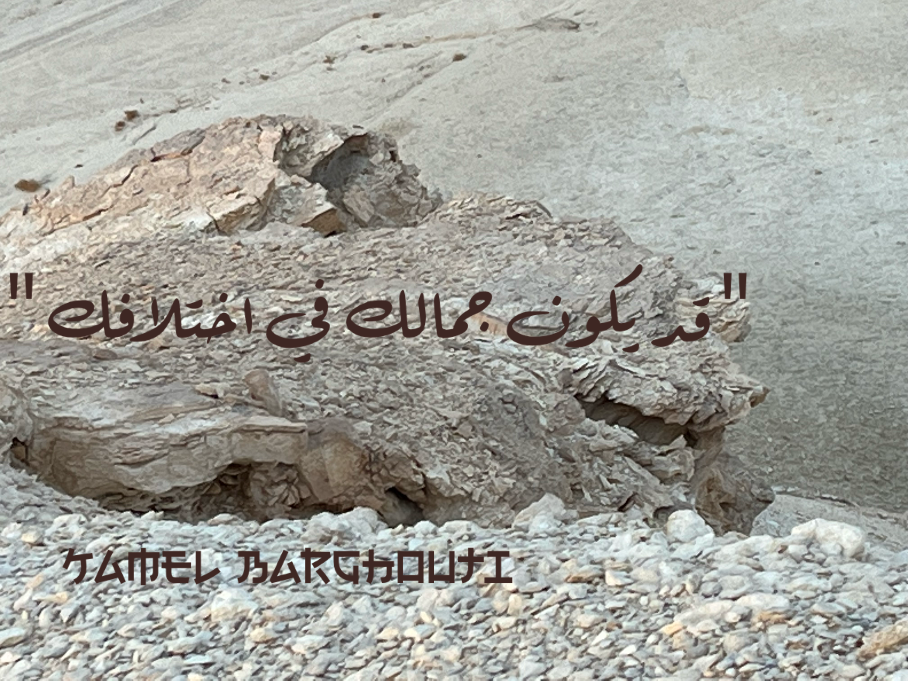 العزيمة والإصرار والثقة بالنفس – اقتباس 80