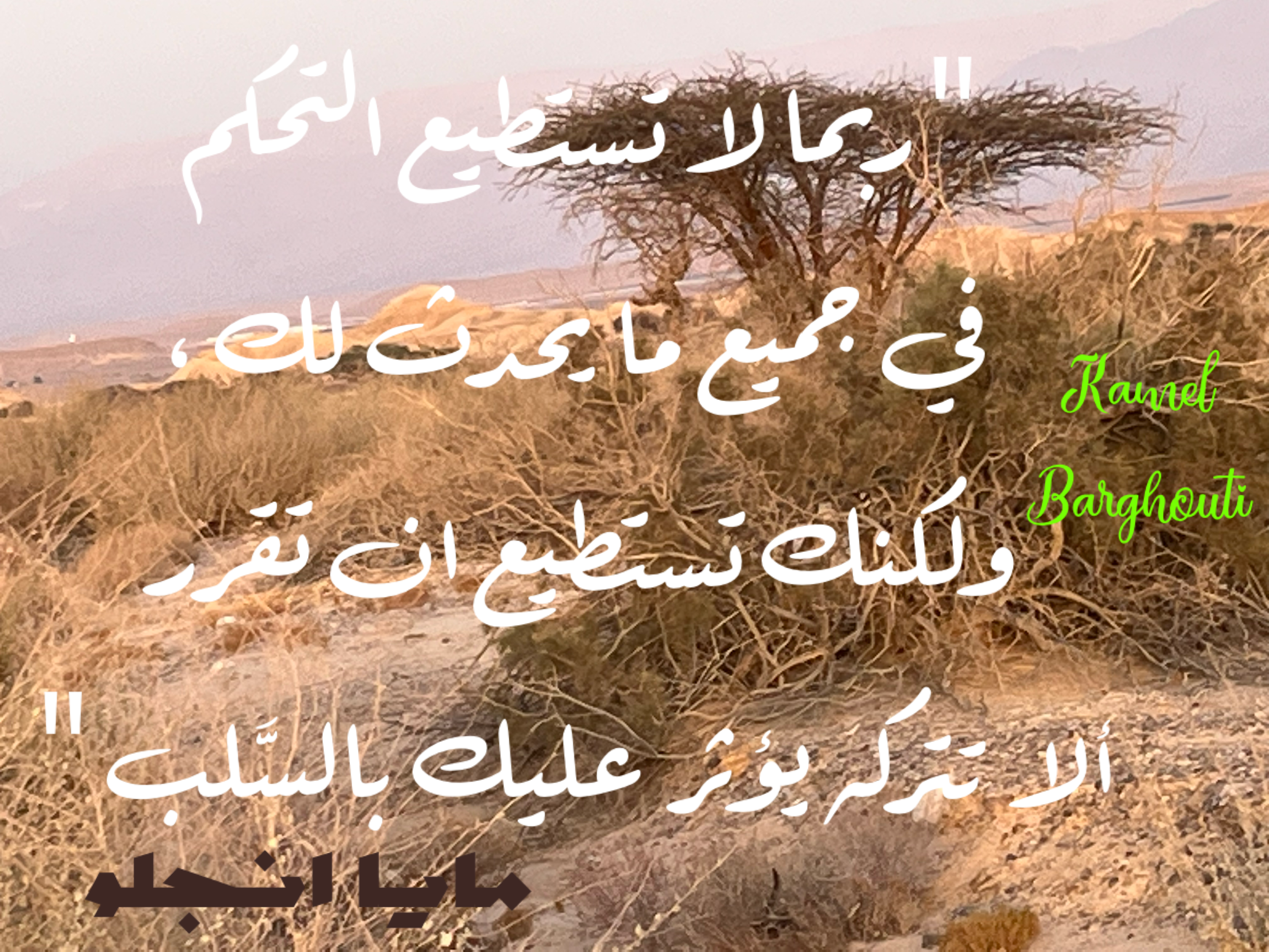 العزيمة والإصرار والثقة بالنفس – اقتباس 69
