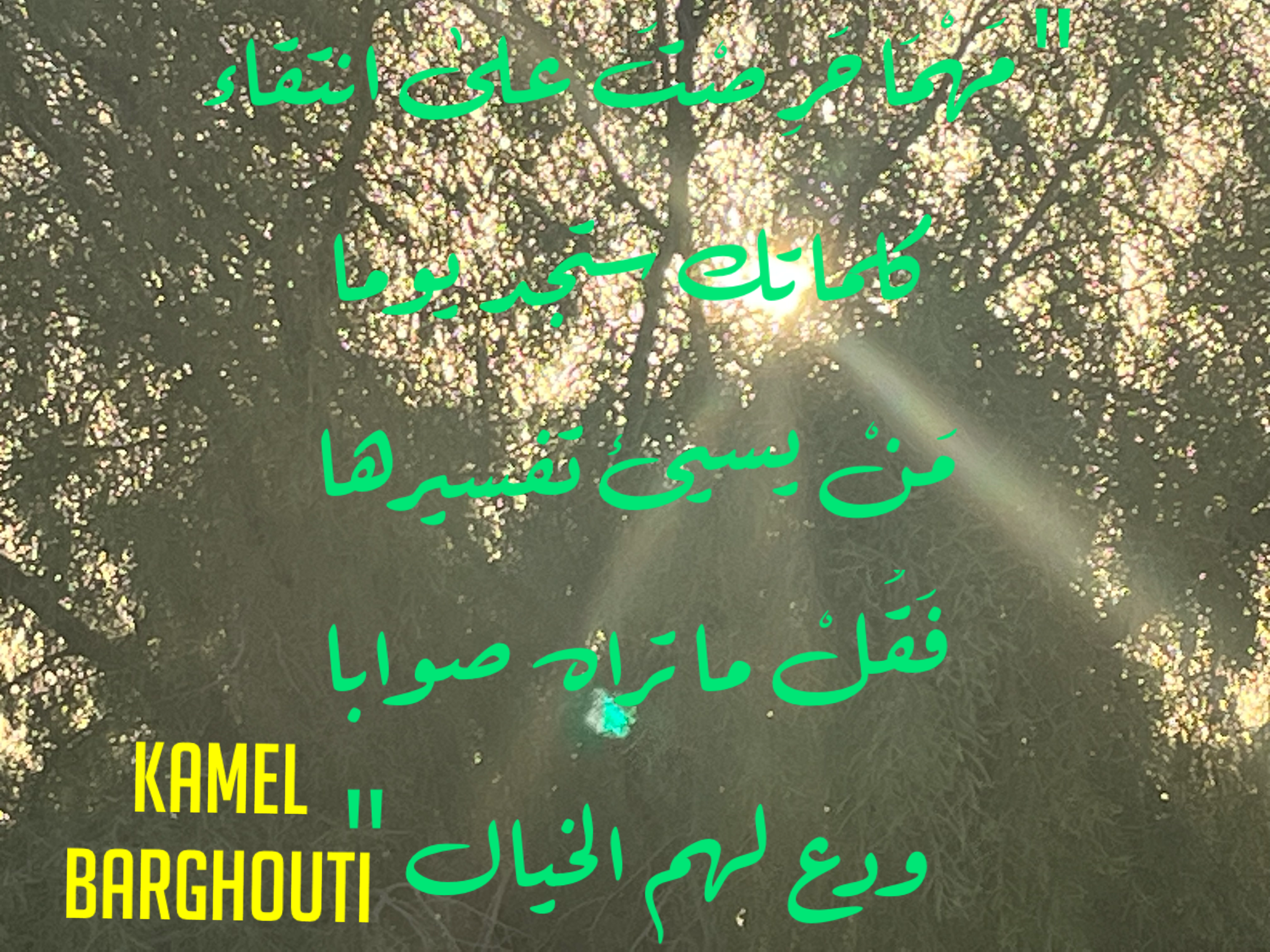 العزيمة والإصرار والثقة بالنفس – اقتباس 68