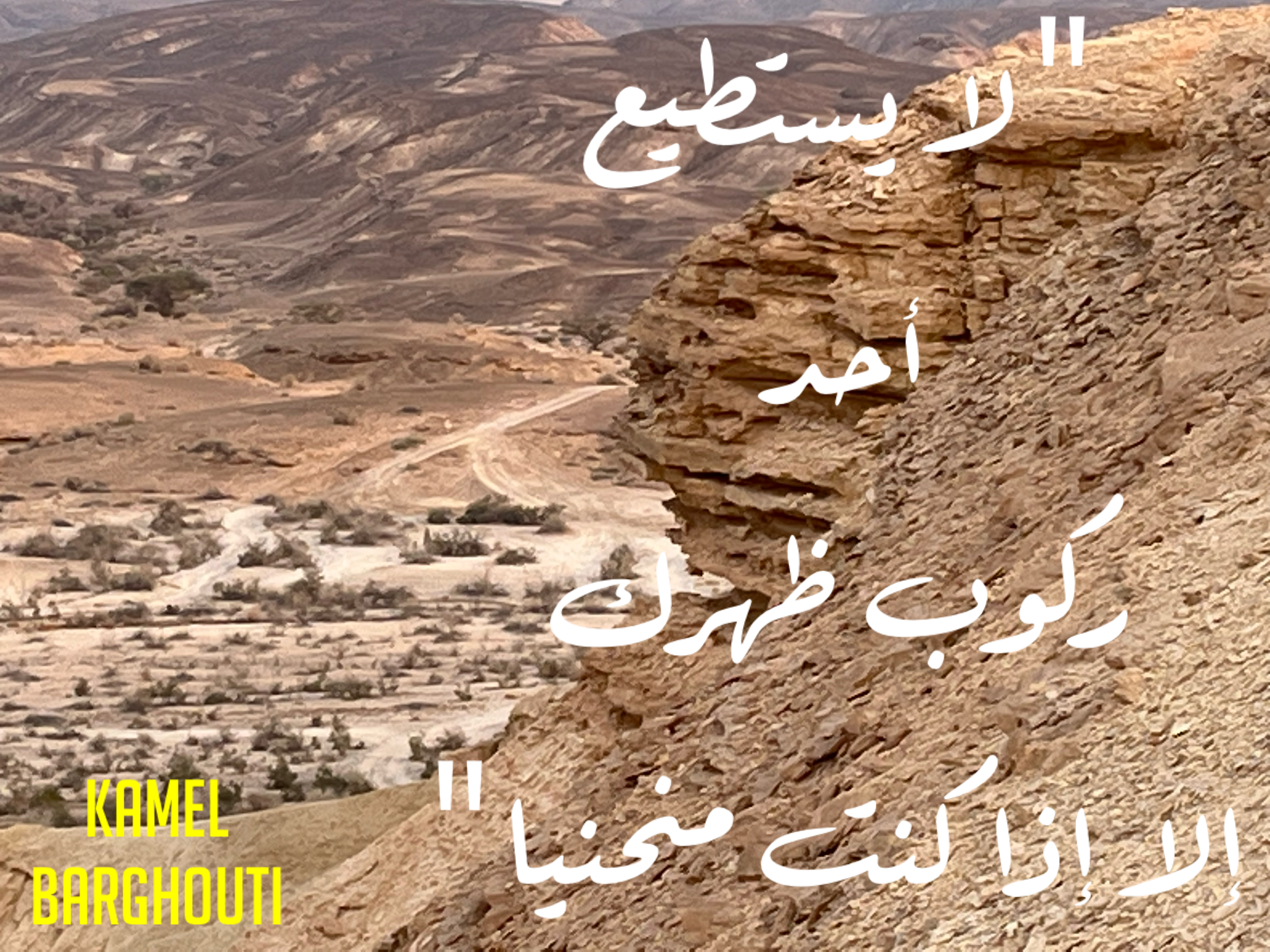 العزيمة والإصرار والثقة بالنفس – اقتباس 62