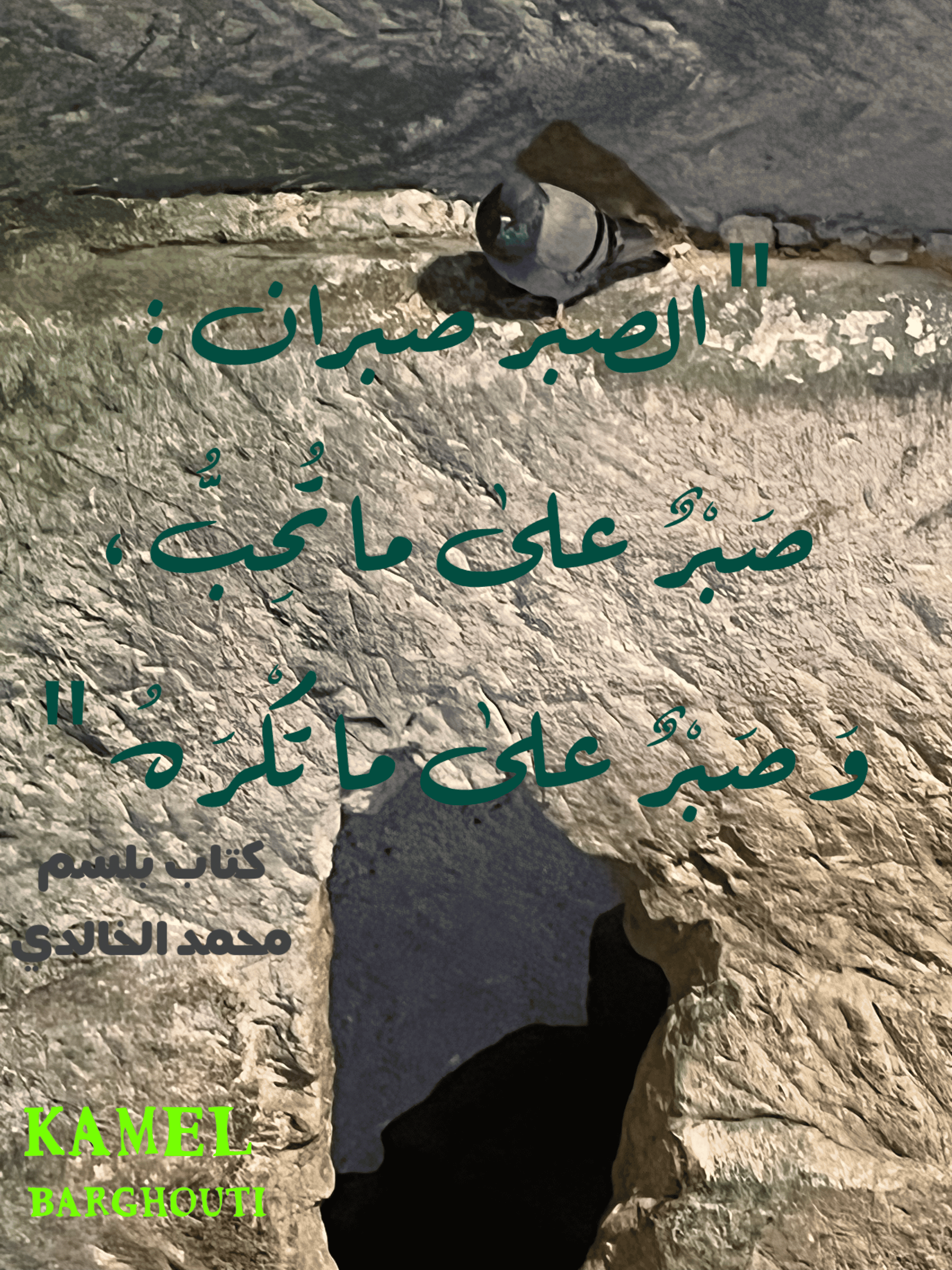 القناعة والصبر – اقتباس 160