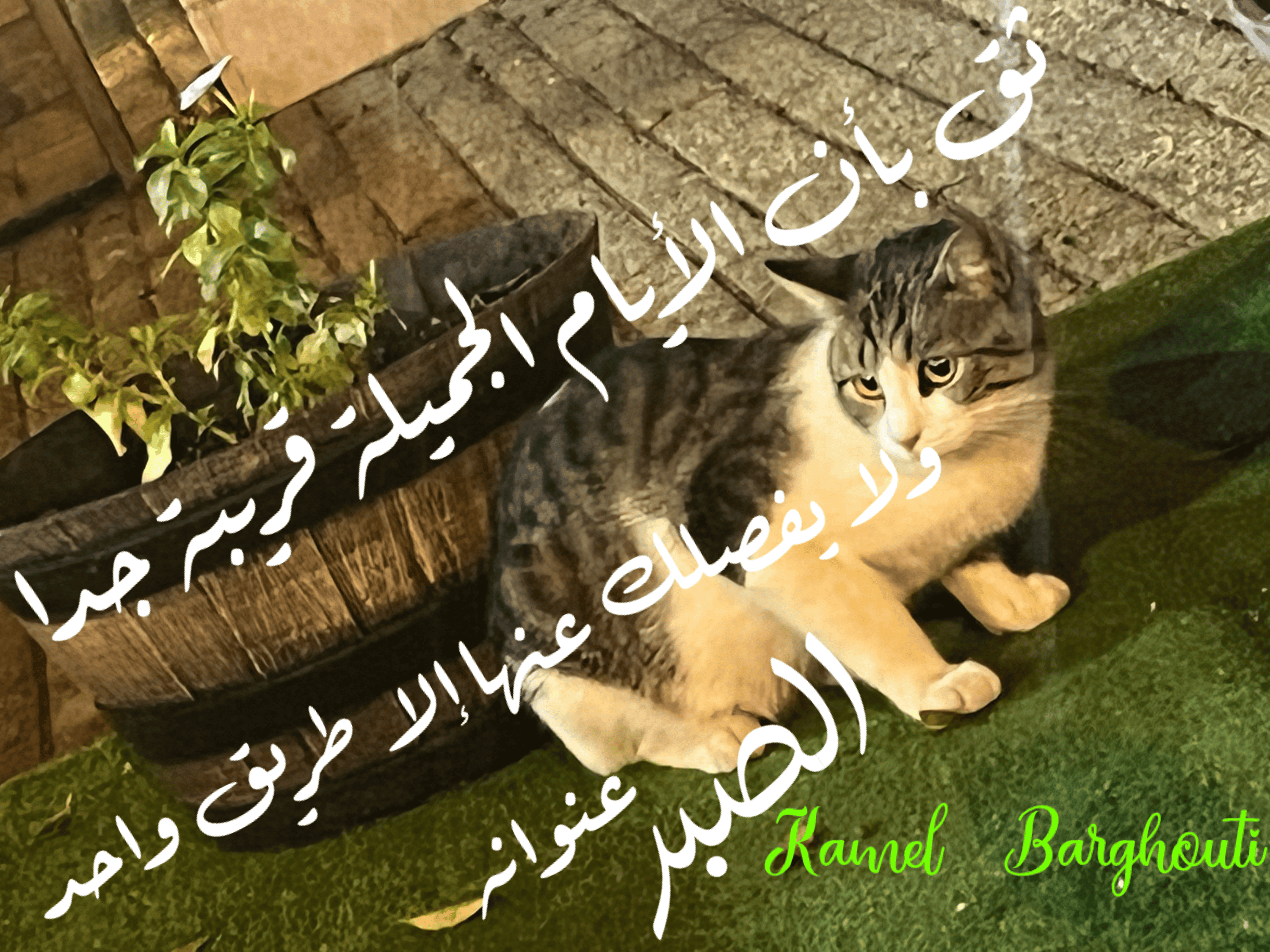 القناعة والصبر – اقتباس 153
