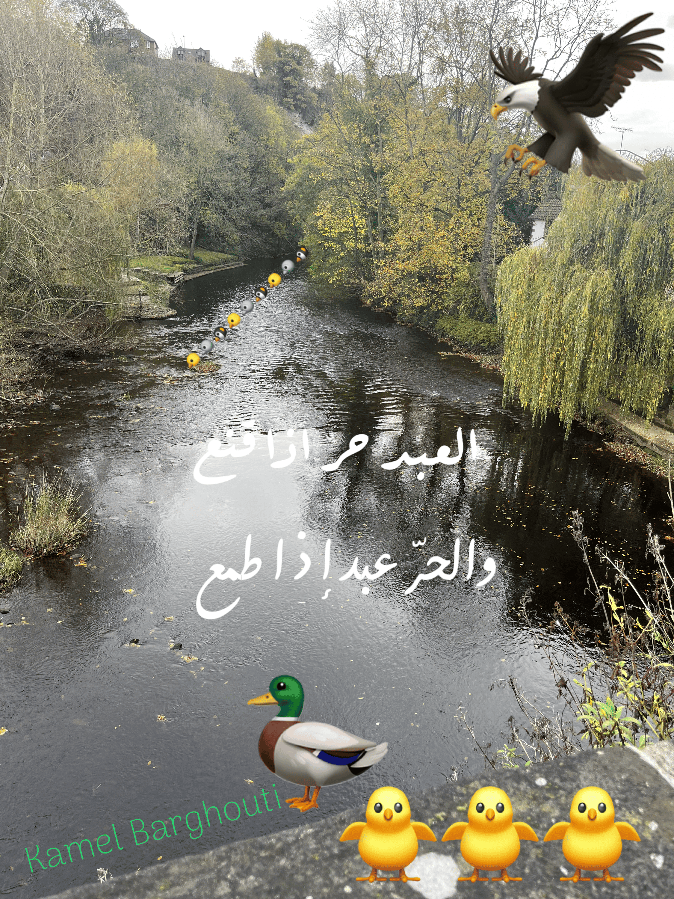 القناعة والصبر – اقتباس 128