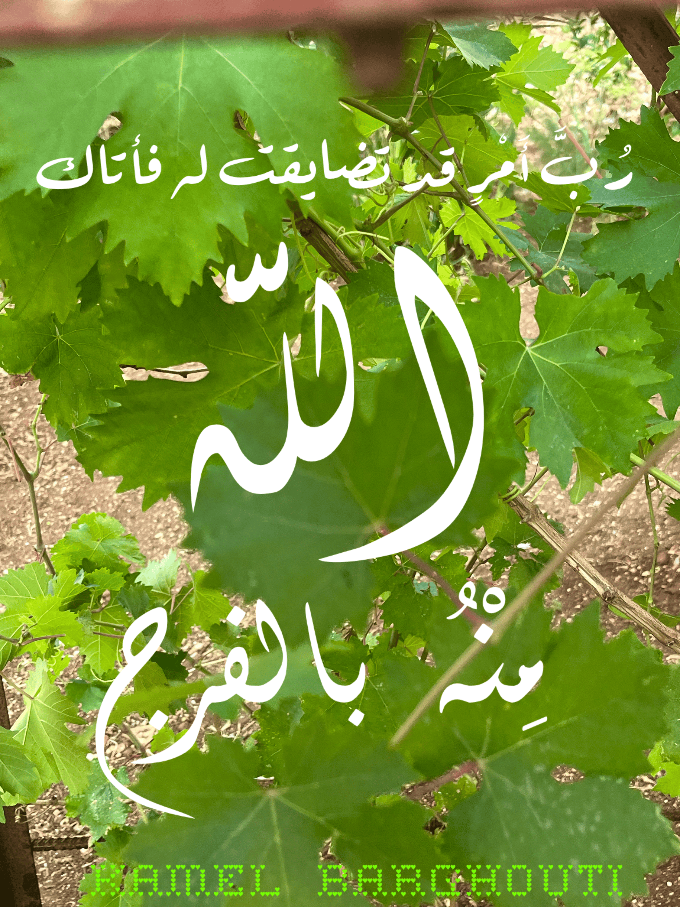 القناعة والصبر – اقتباس 118