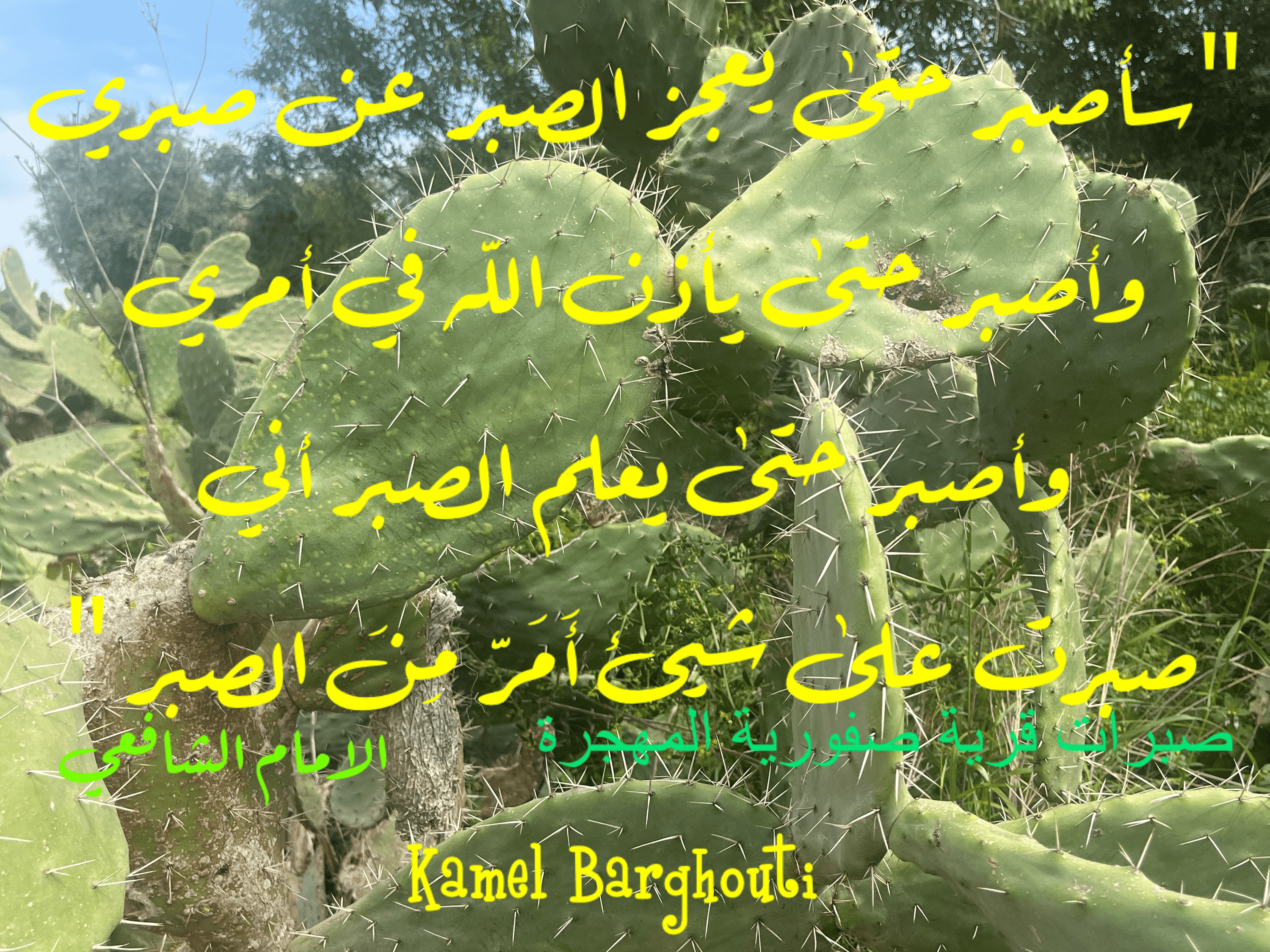 القناعة والصبر – اقتباس 119