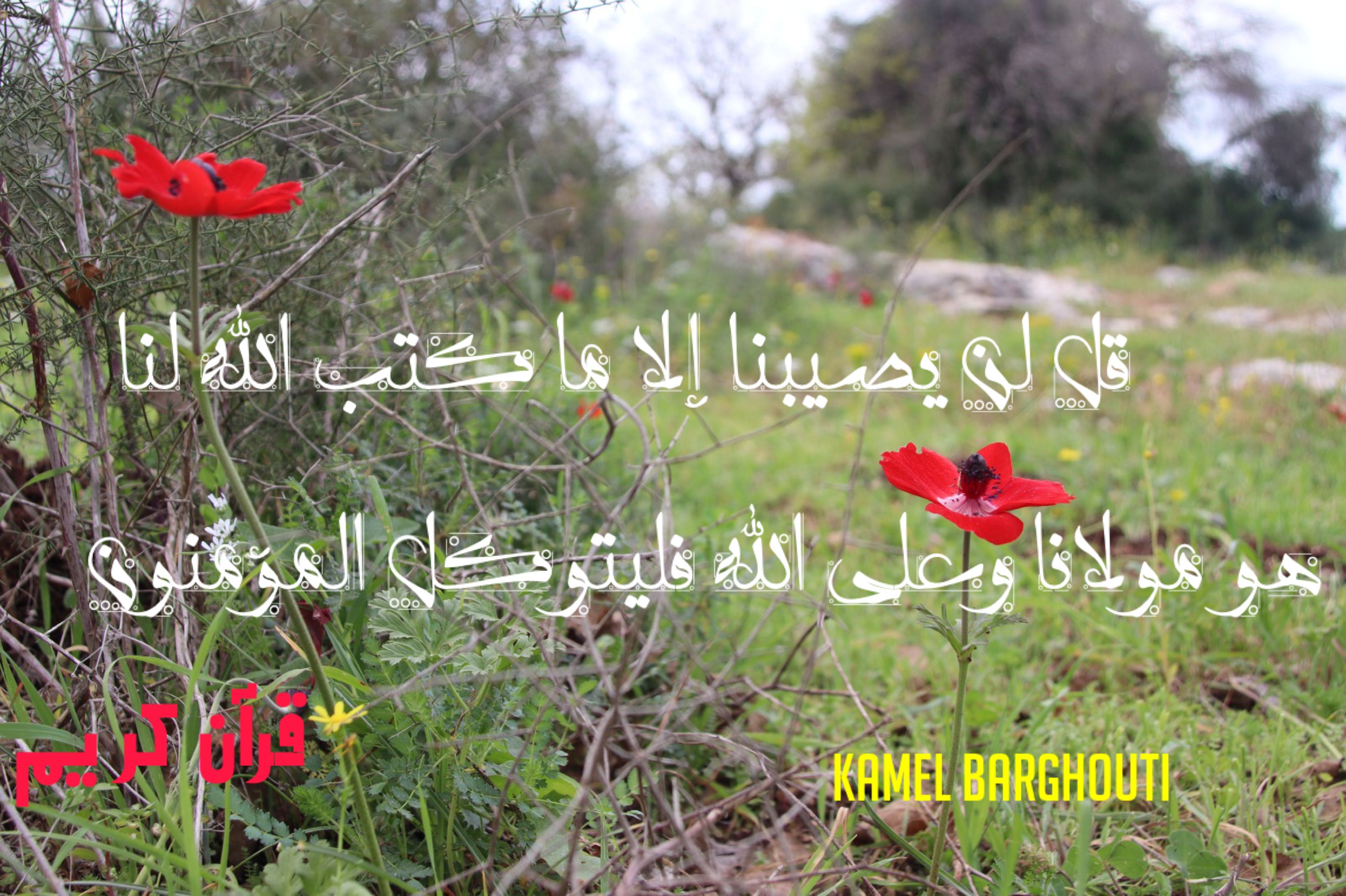 القناعة والصبر – اقتباس 75