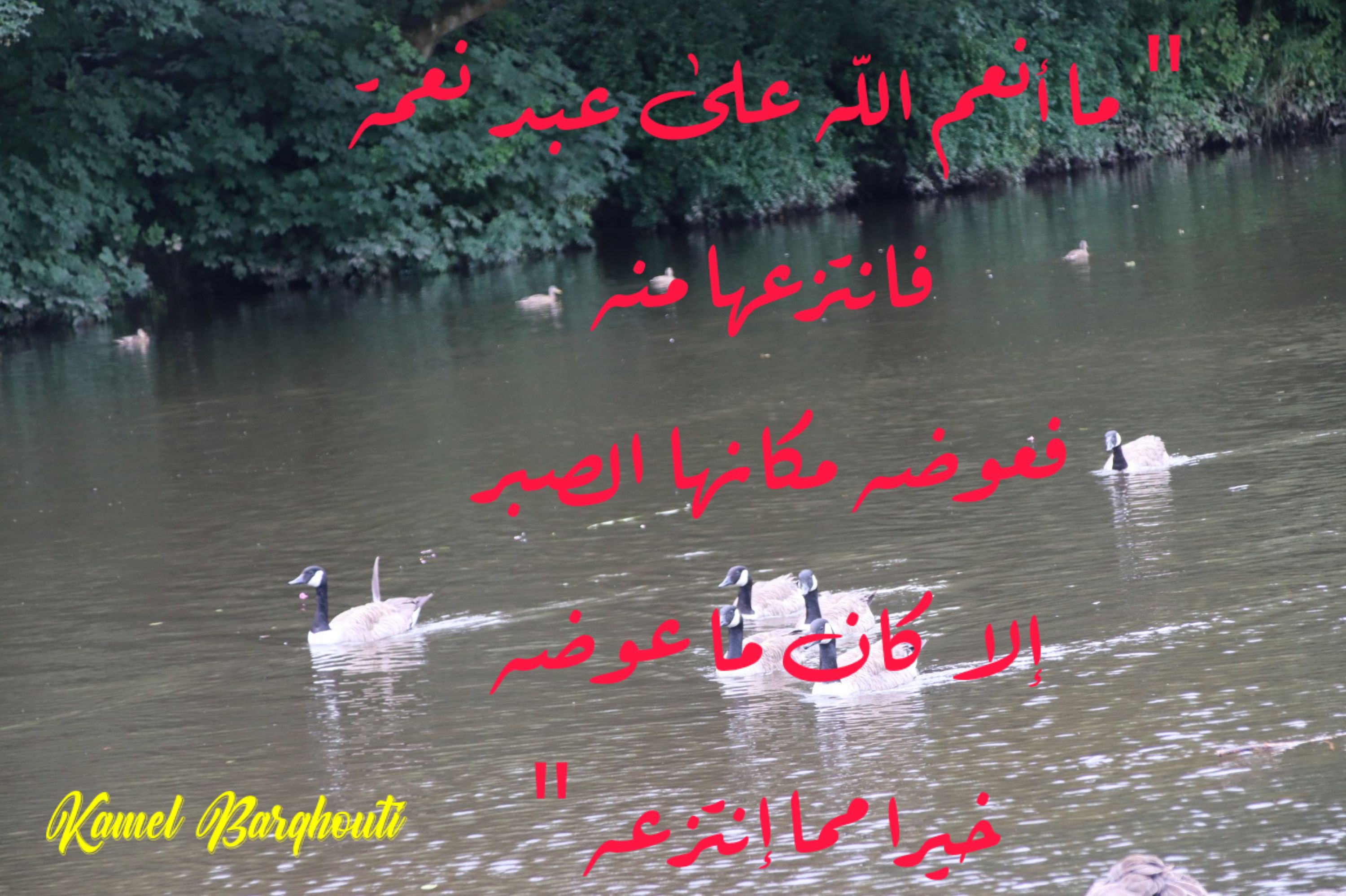 القناعة والصبر – اقتباس 57