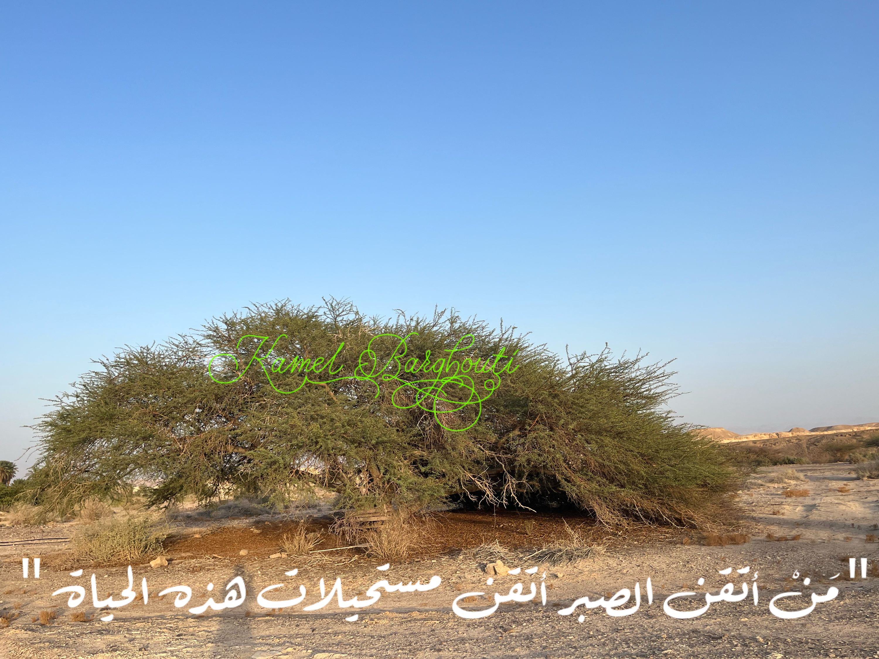 القناعة والصبر – اقتباس 48