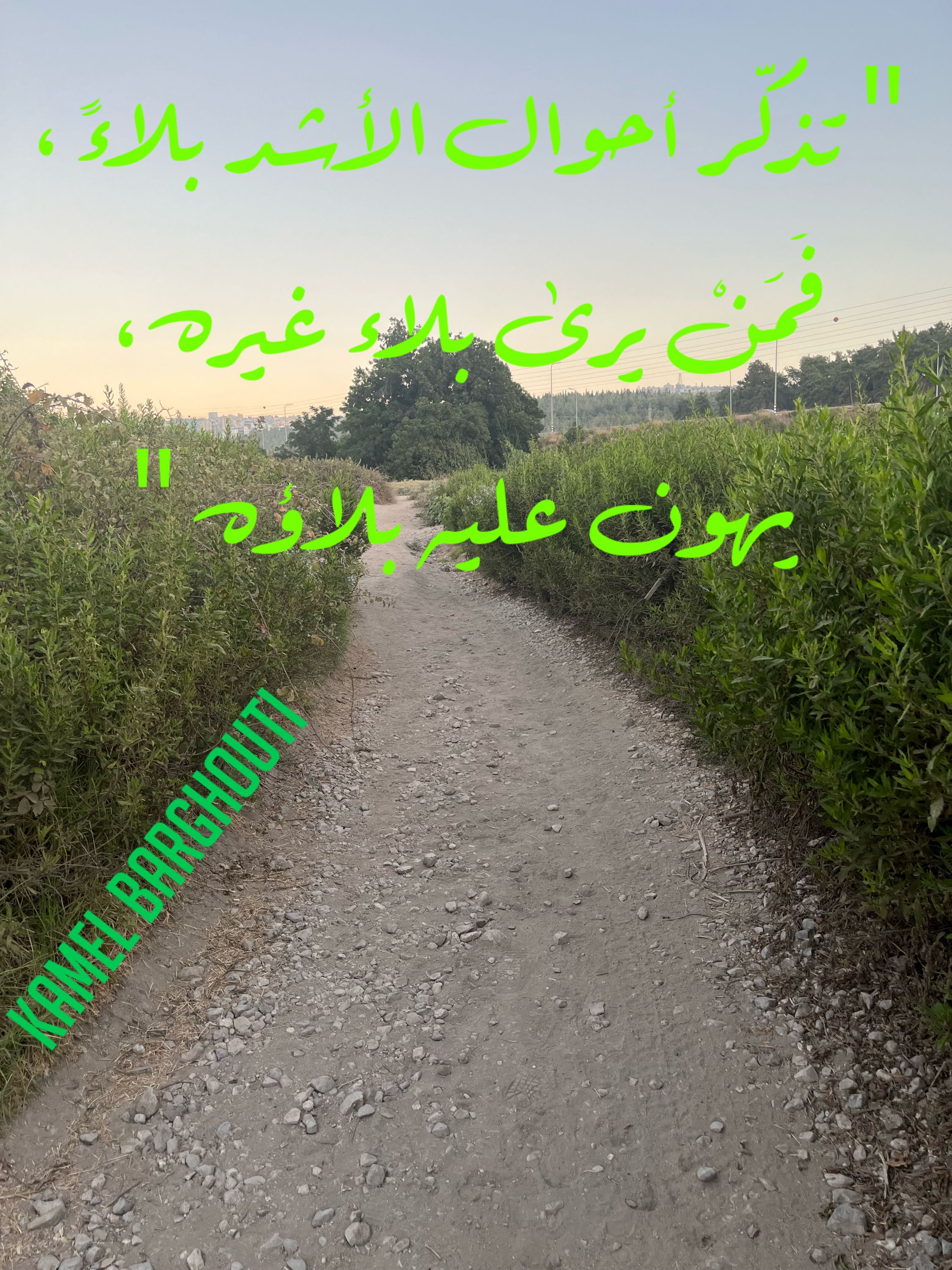 القناعة والصبر – اقتباس 56