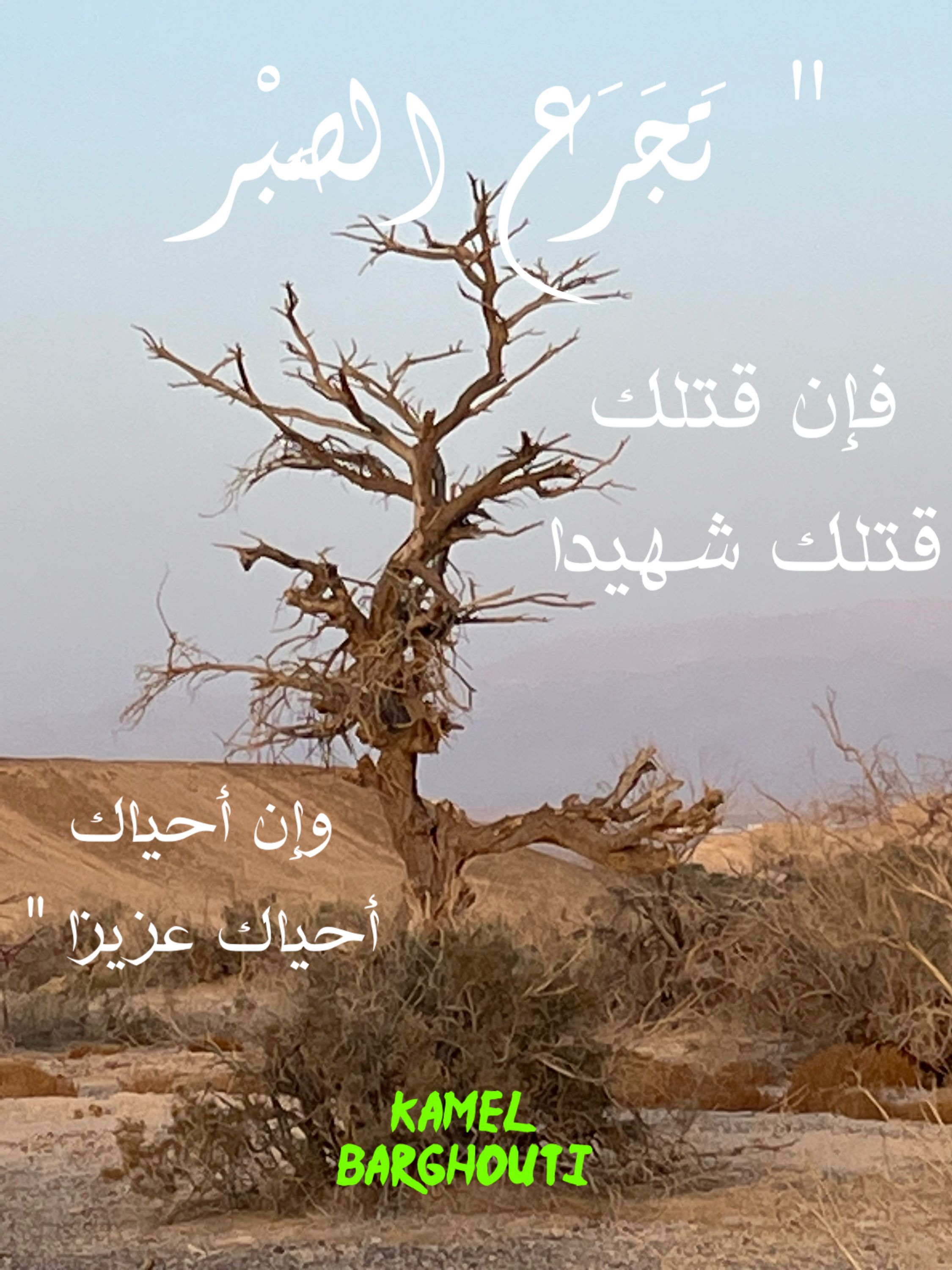 القناعة والصبر – اقتباس 60