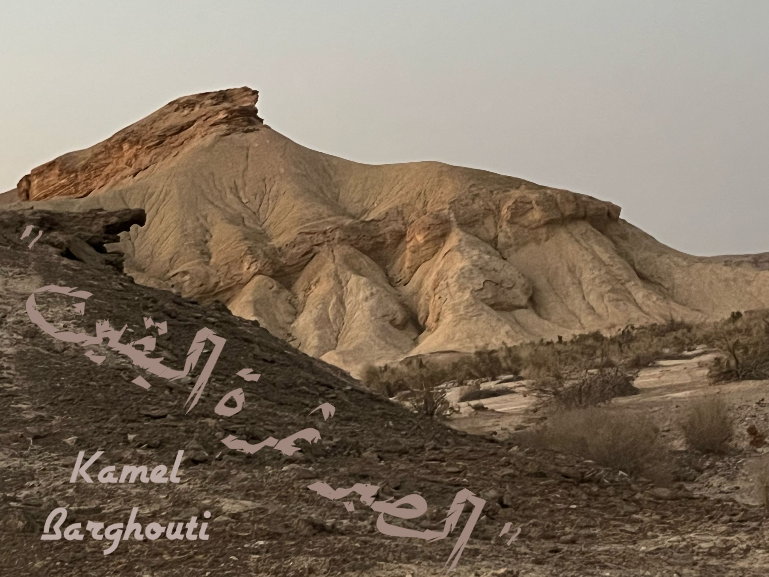 القناعة والصبر – اقتباس 50