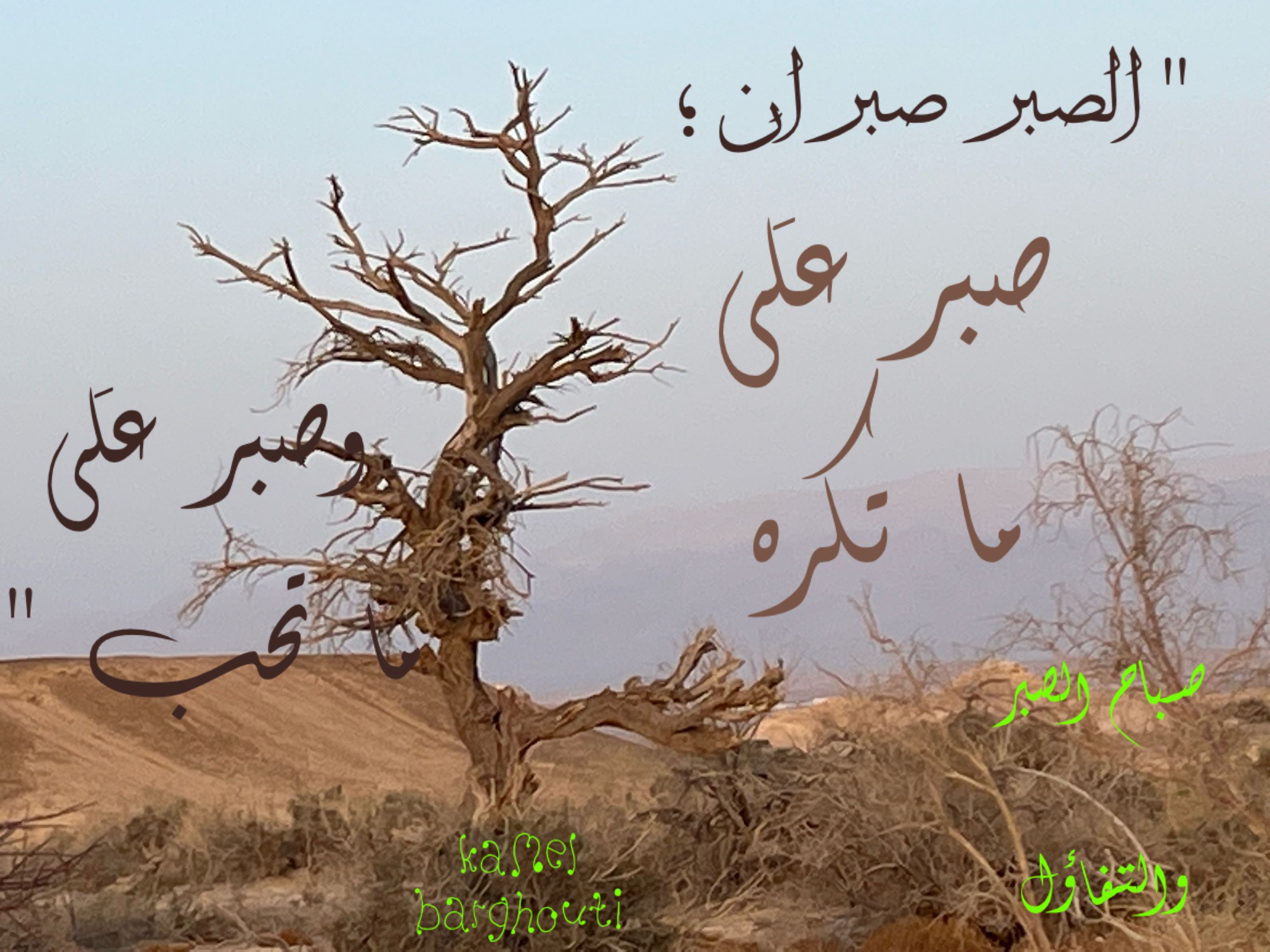 القناعة والصبر – اقتباس 59