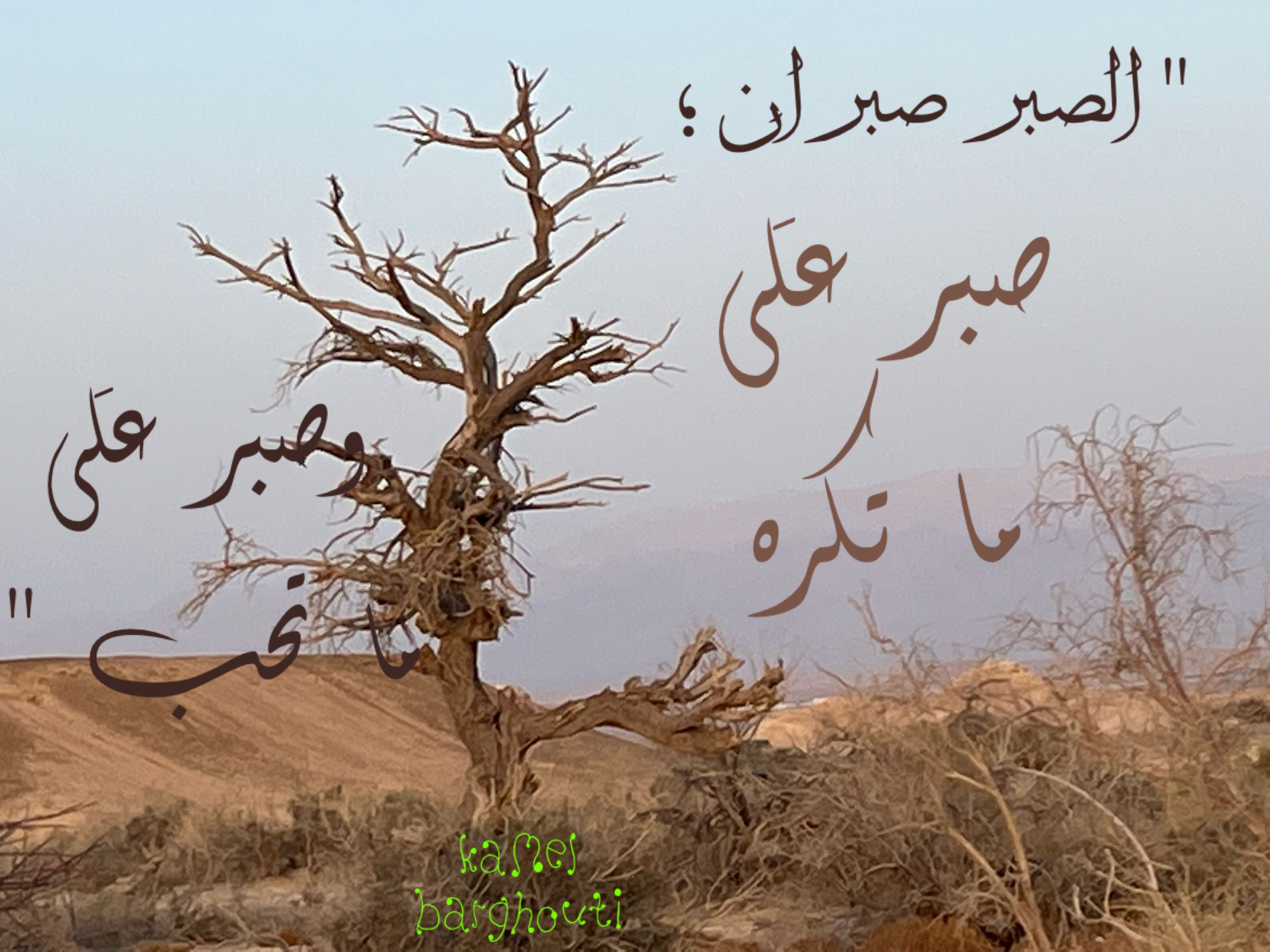 القناعة والصبر – اقتباس 49