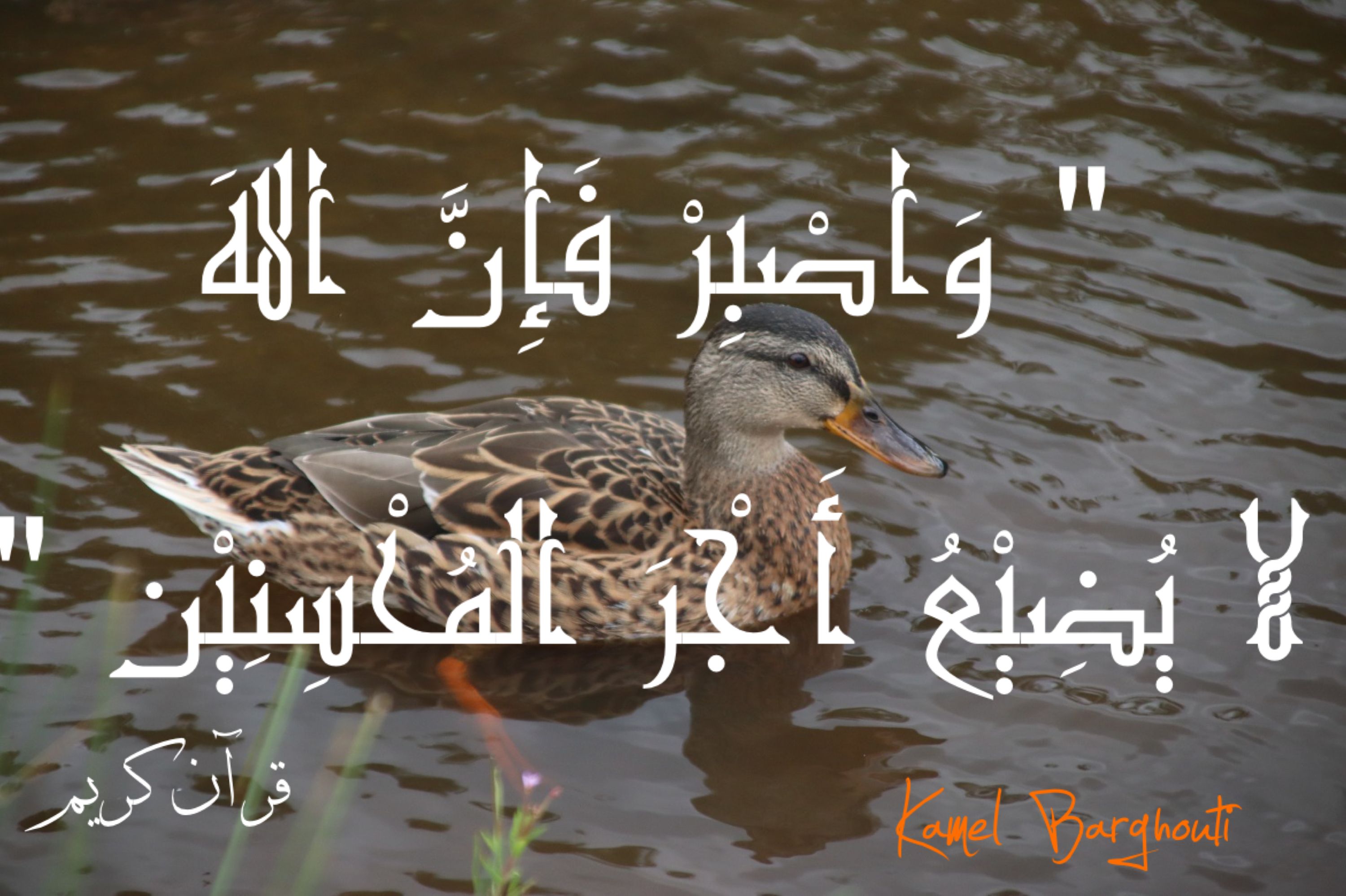 القناعة والصبر – اقتباس 35