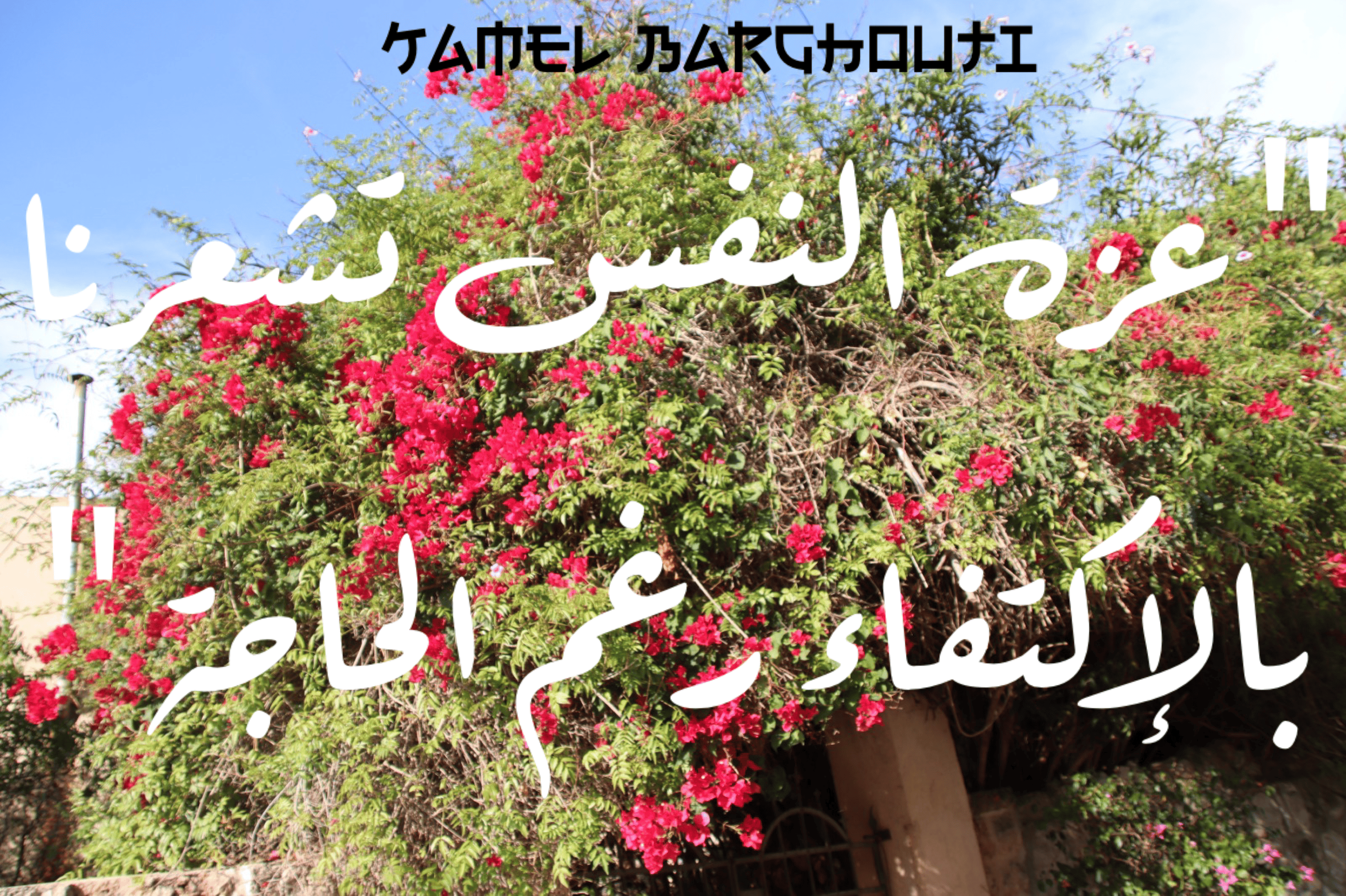 القناعة والصبر – اقتباس 16