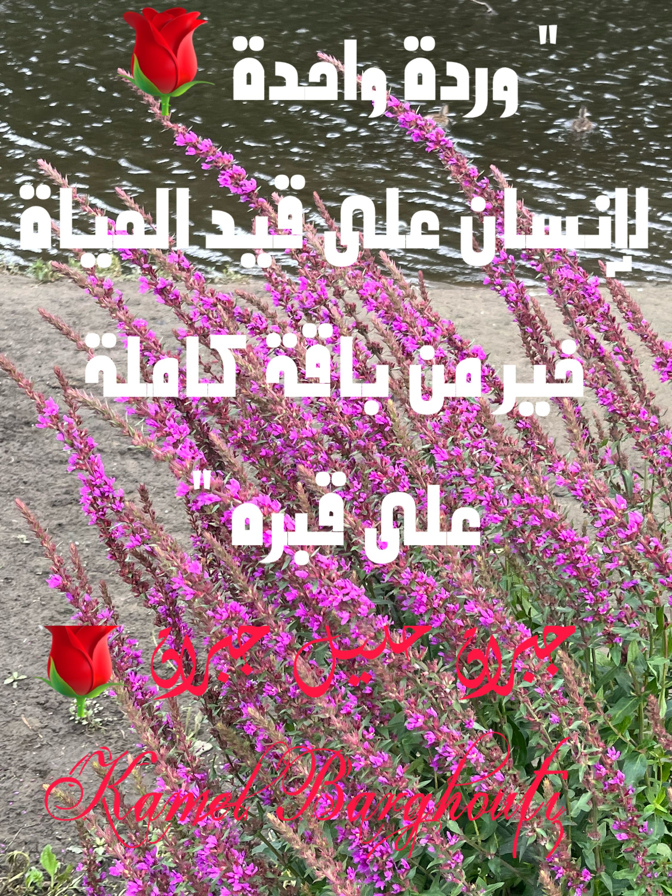 القناعة والصبر – اقتباس 21