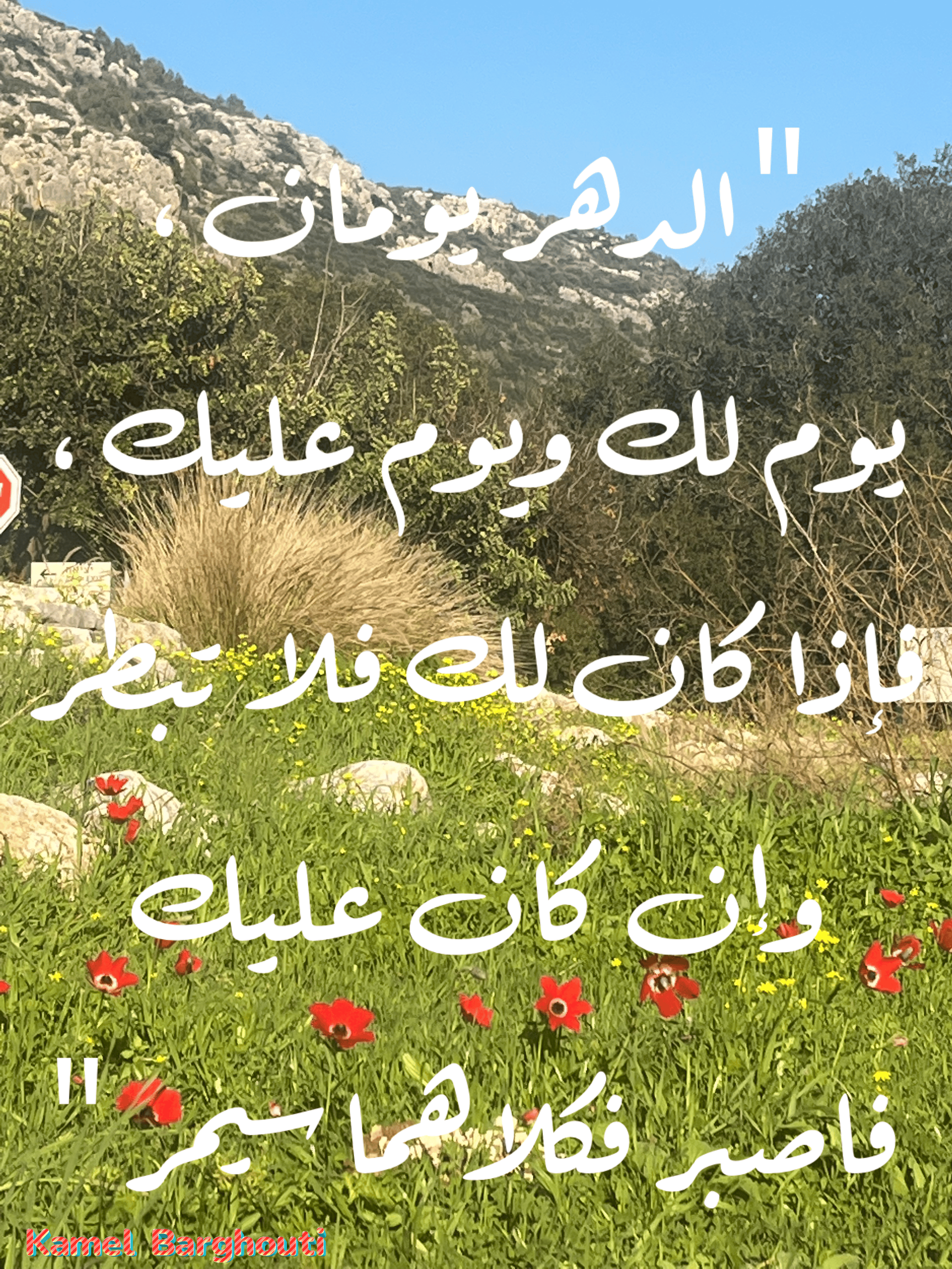 القناعة والصبر – اقتباس 20