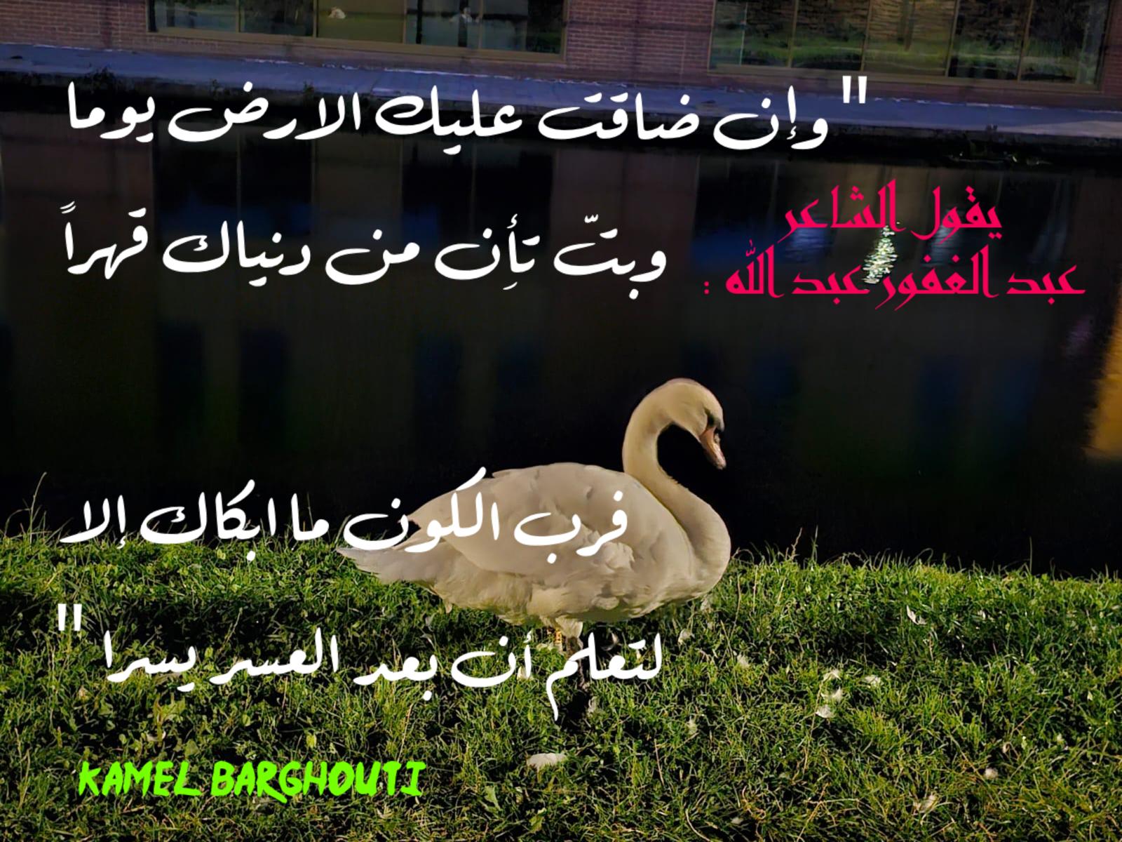 القناعة والصبر – اقتباس 10