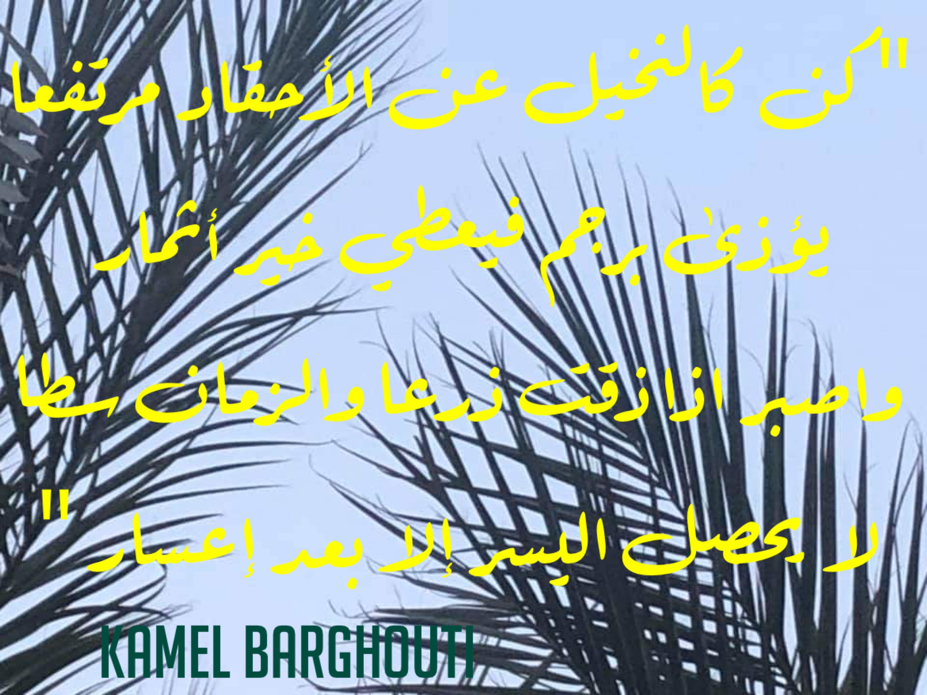 القناعة والصبر – اقتباس 6
