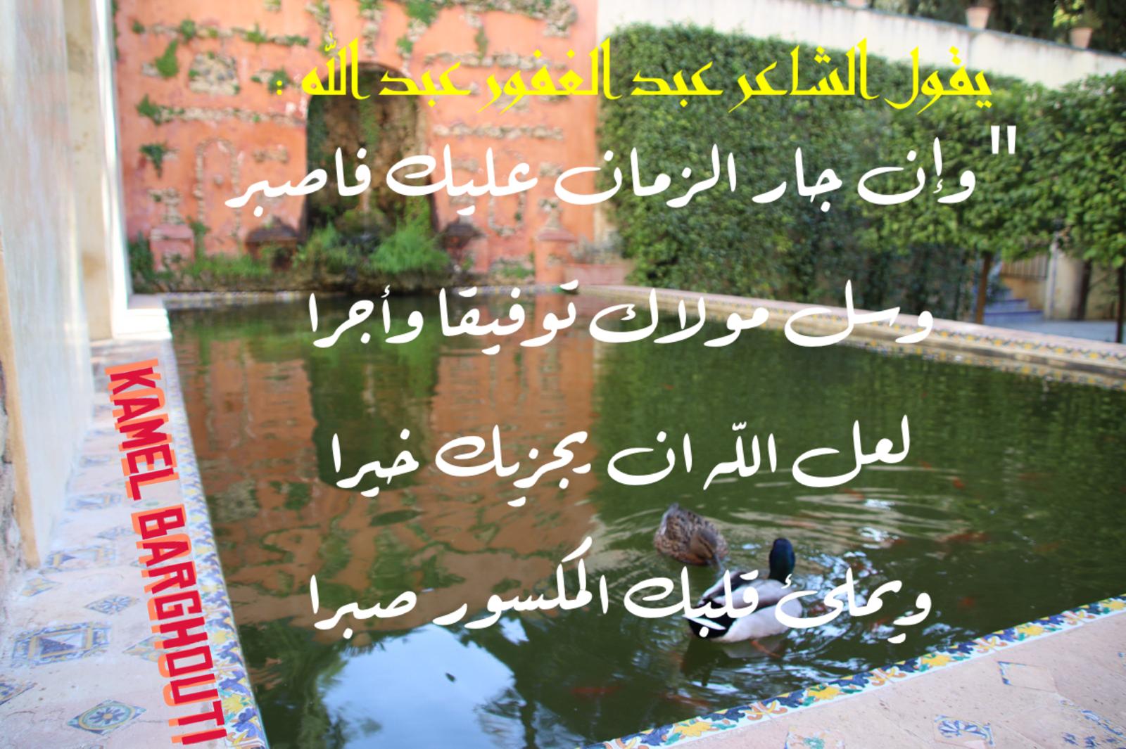 القناعة والصبر – اقتباس 11