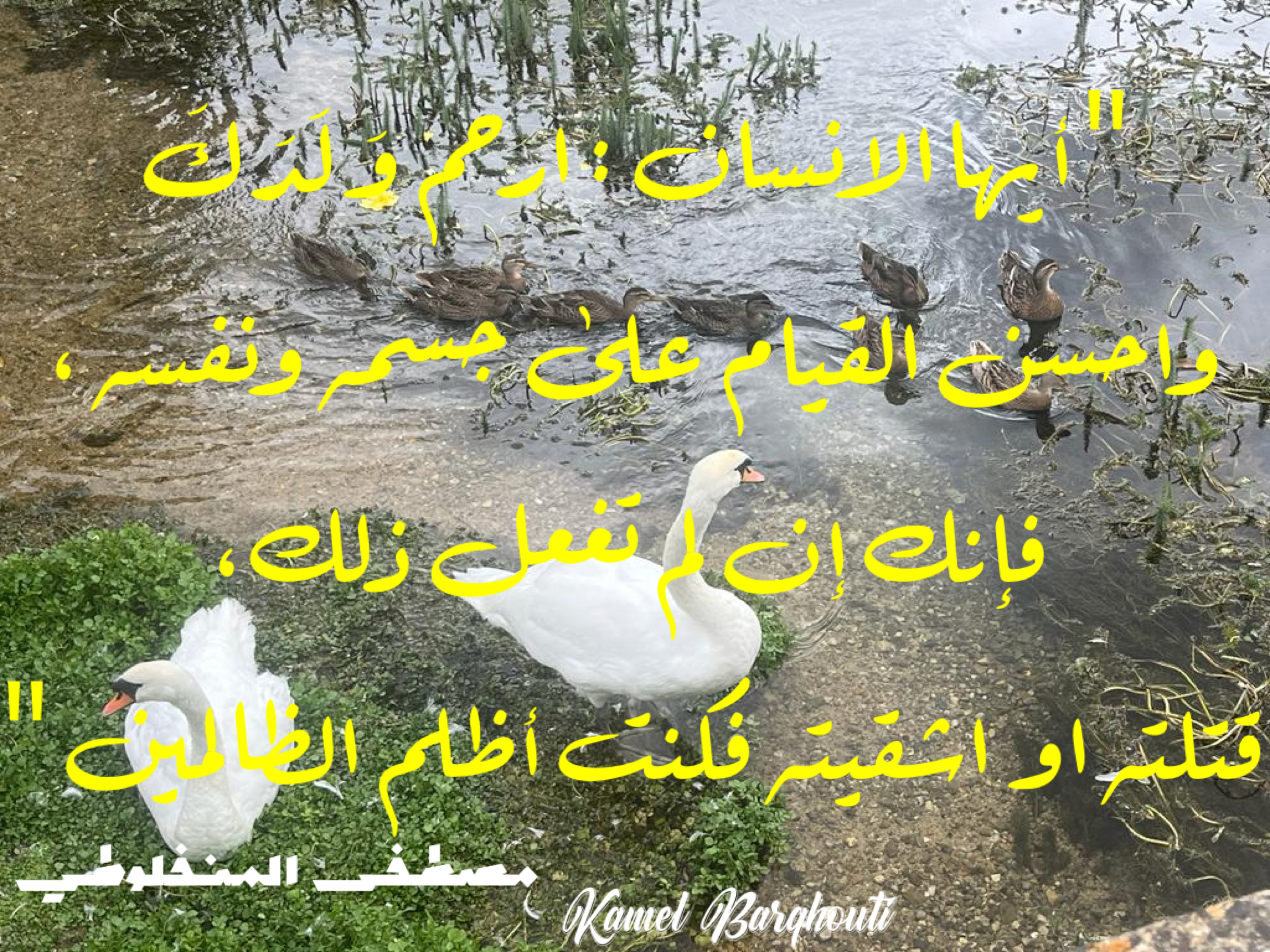 عائلة – اقتباس 59