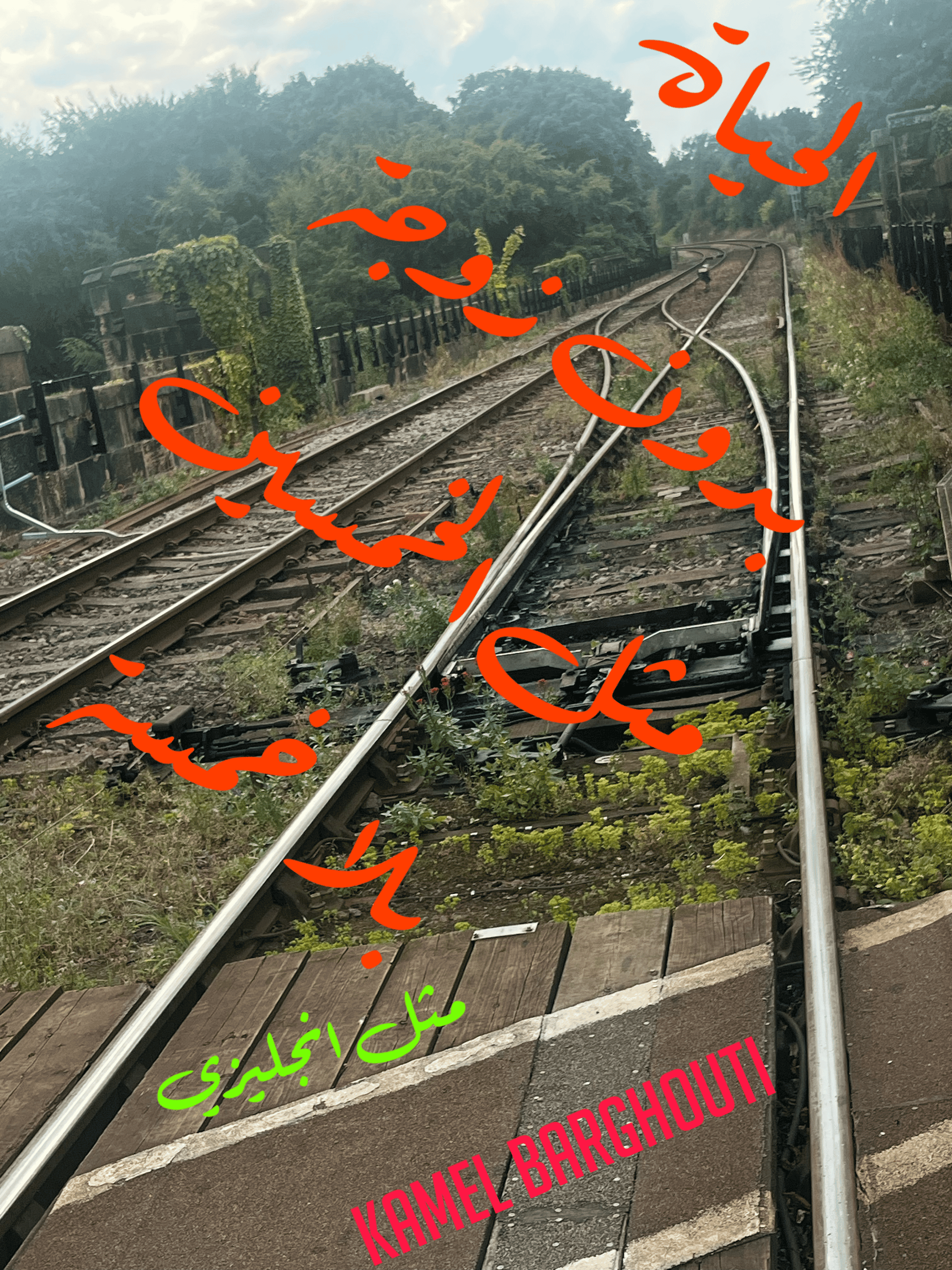 عائلة – اقتباس 30