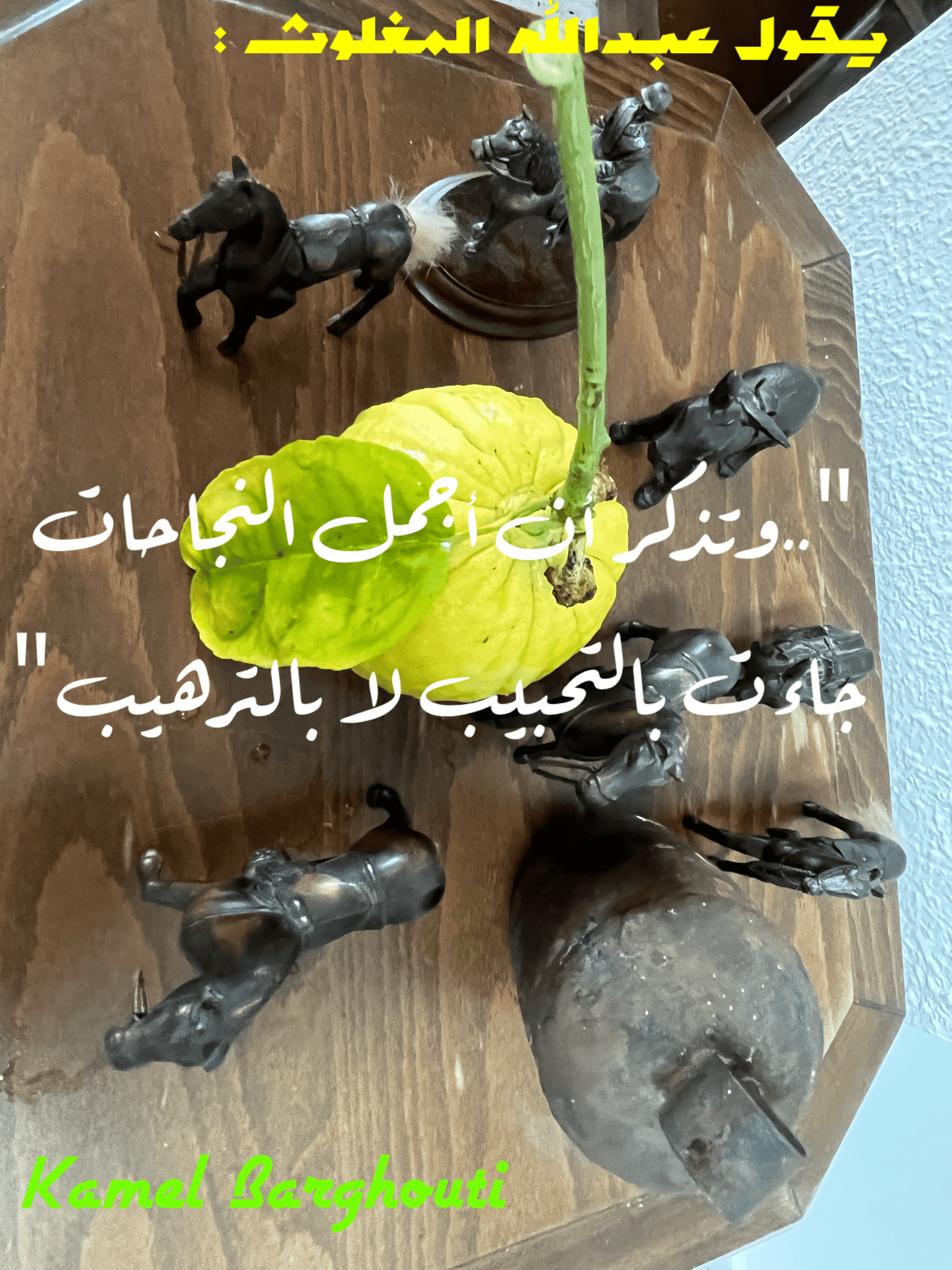 عائلة – اقتباس 14