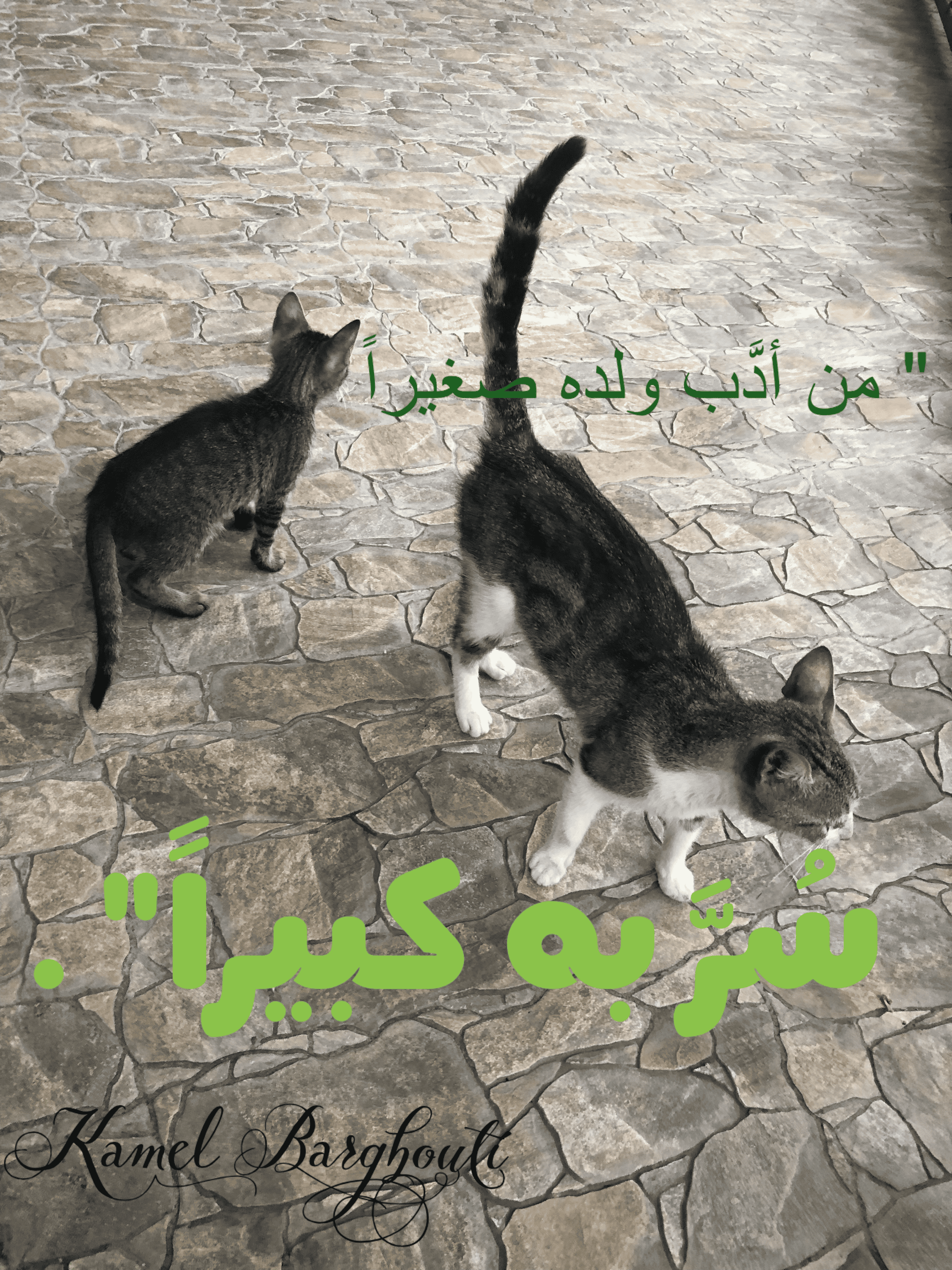 عائلة – اقتباس 10