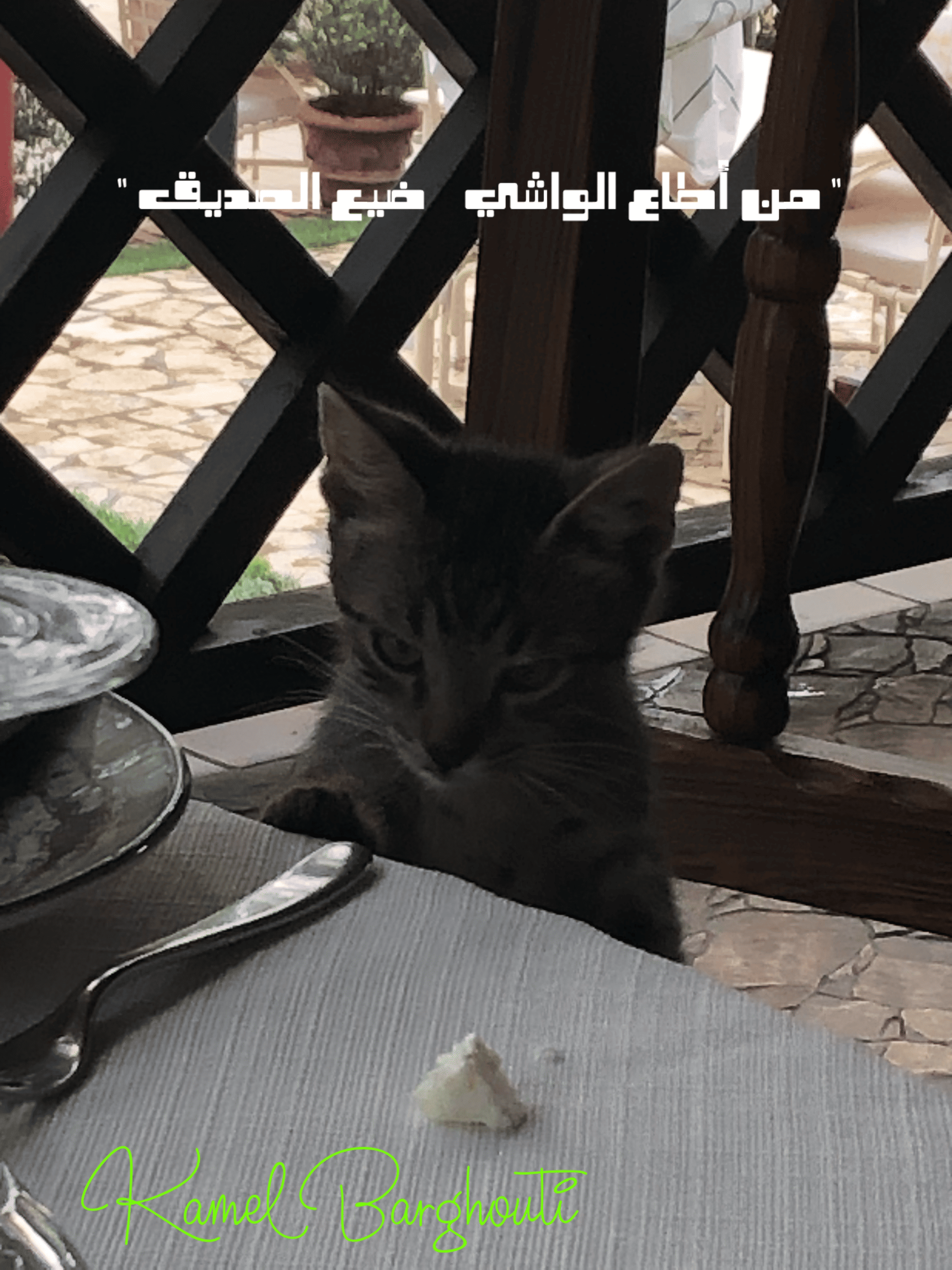 صداقة – اقتباس 152