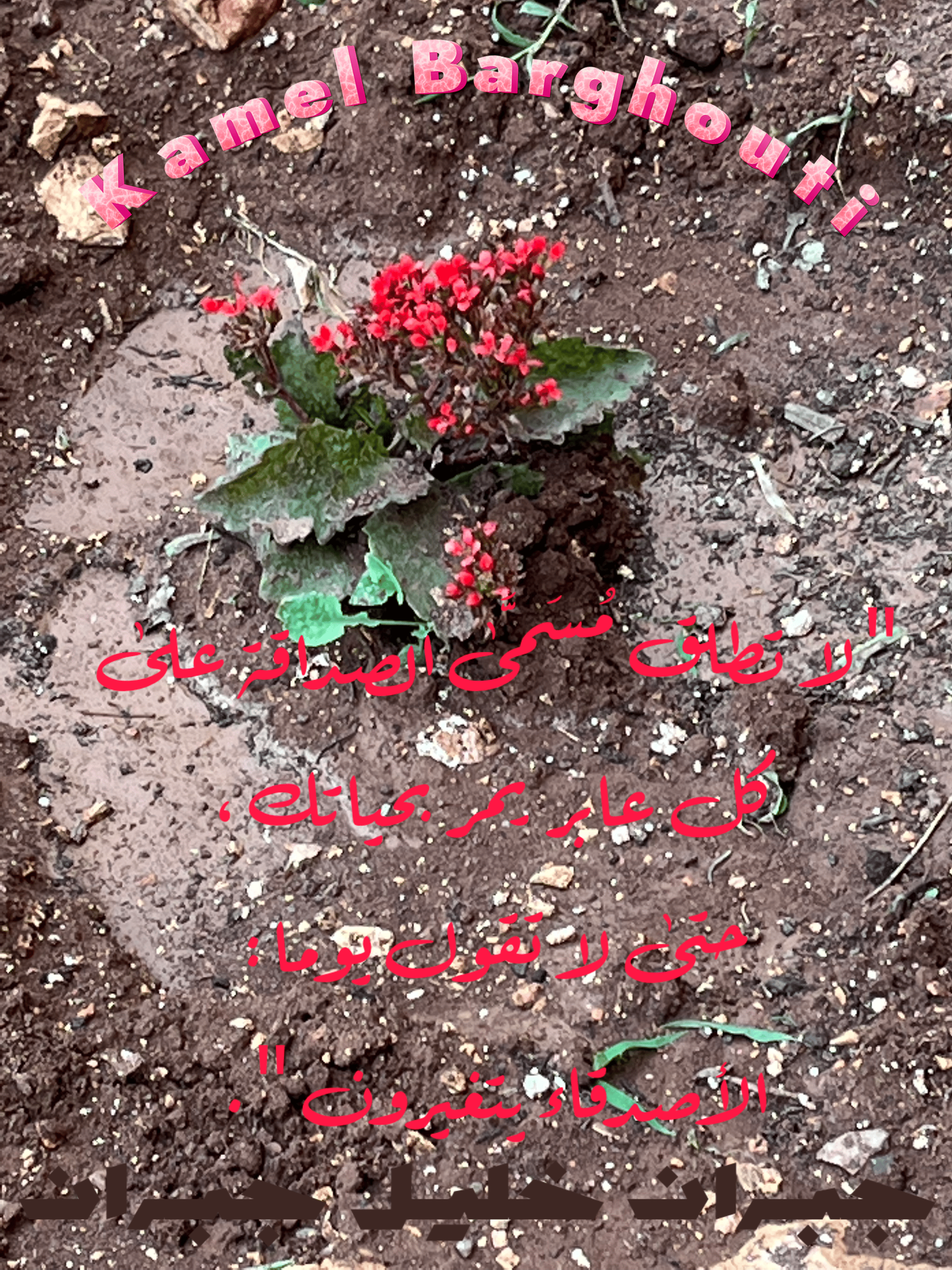 صداقة – اقتباس 145