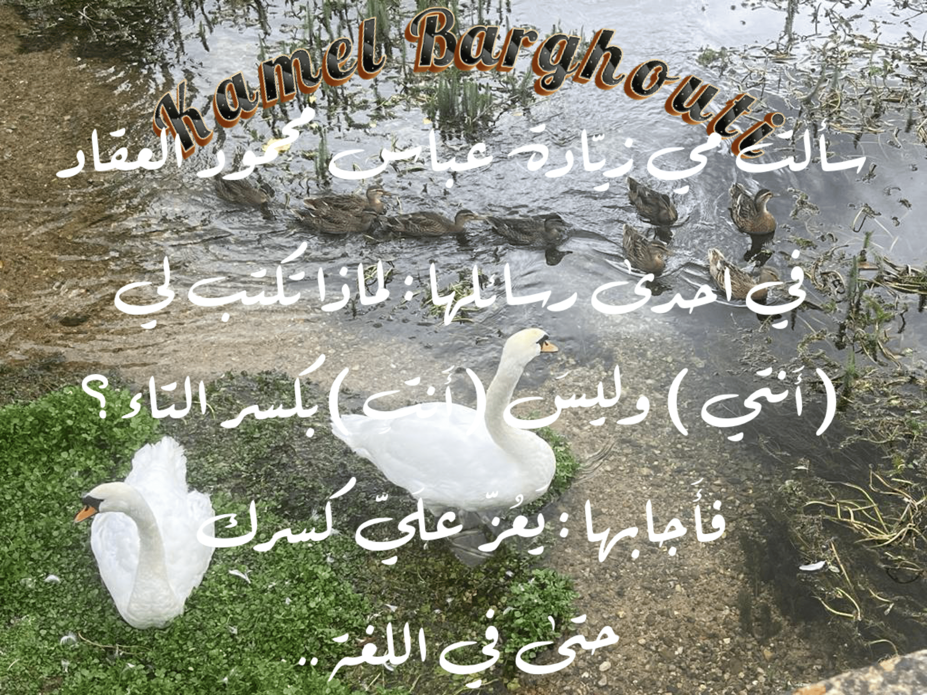 صداقة – اقتباس 147