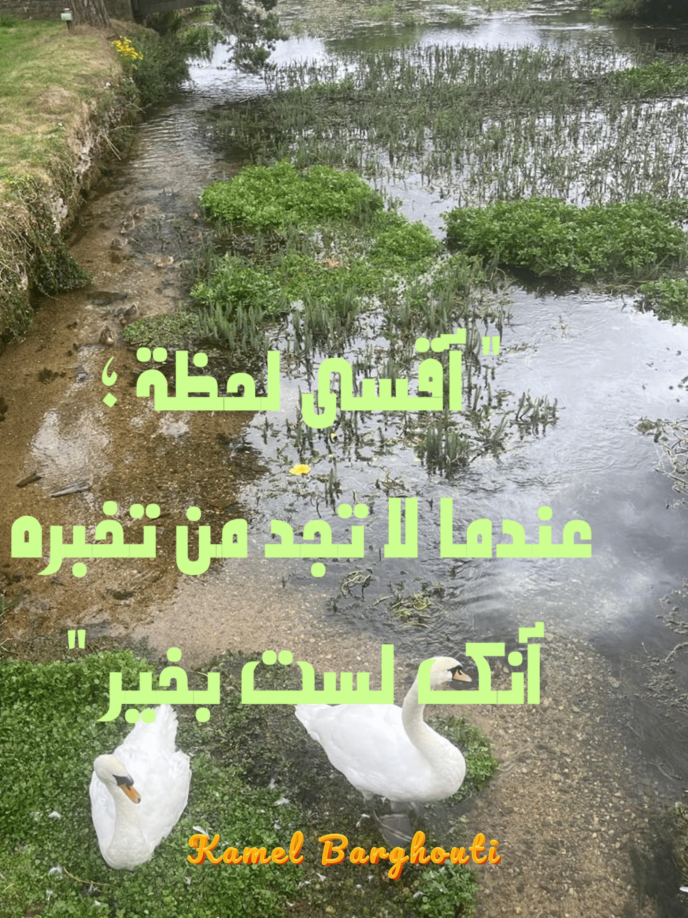صداقة – اقتباس 137