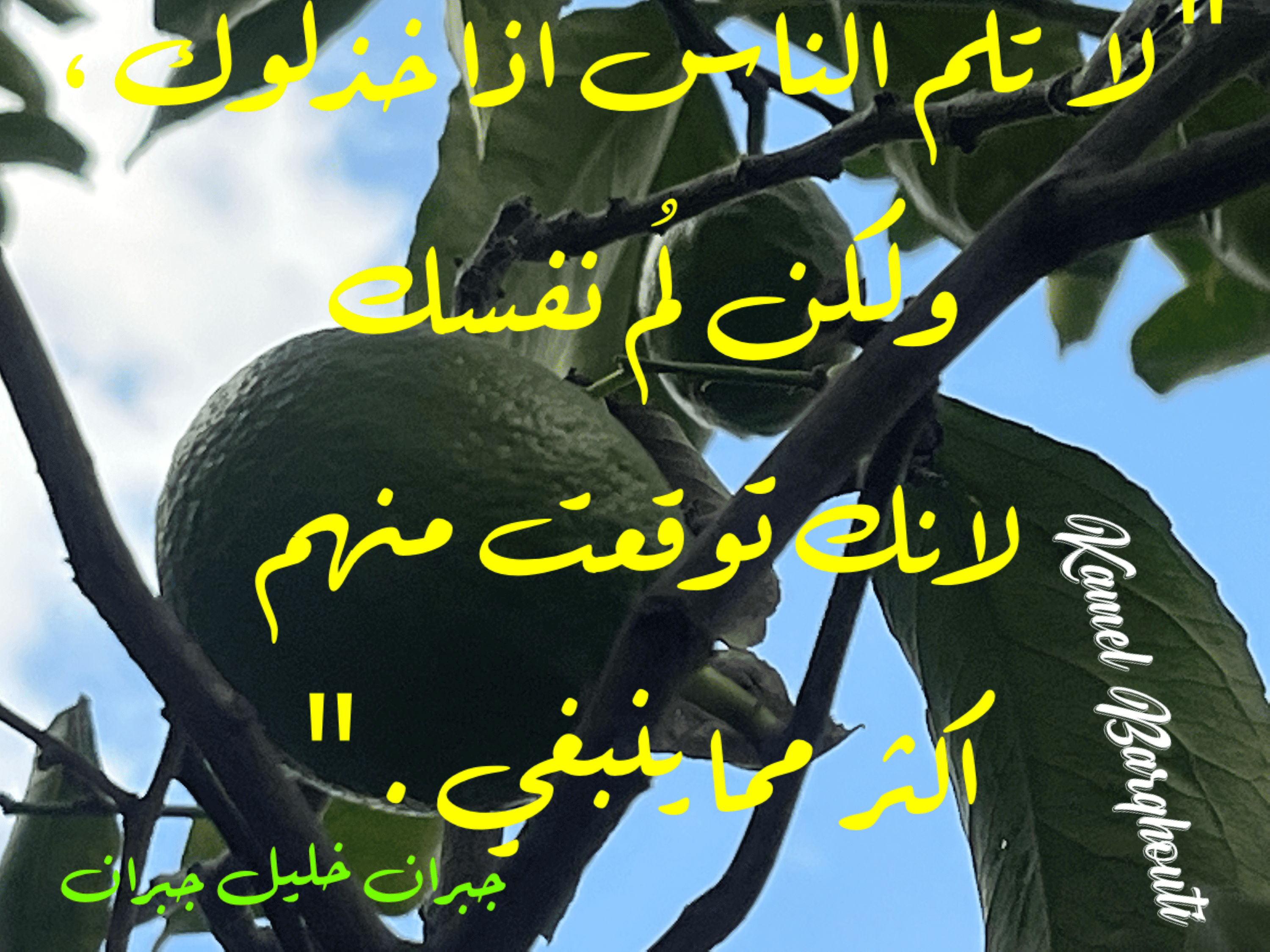 صداقة – اقتباس 120
