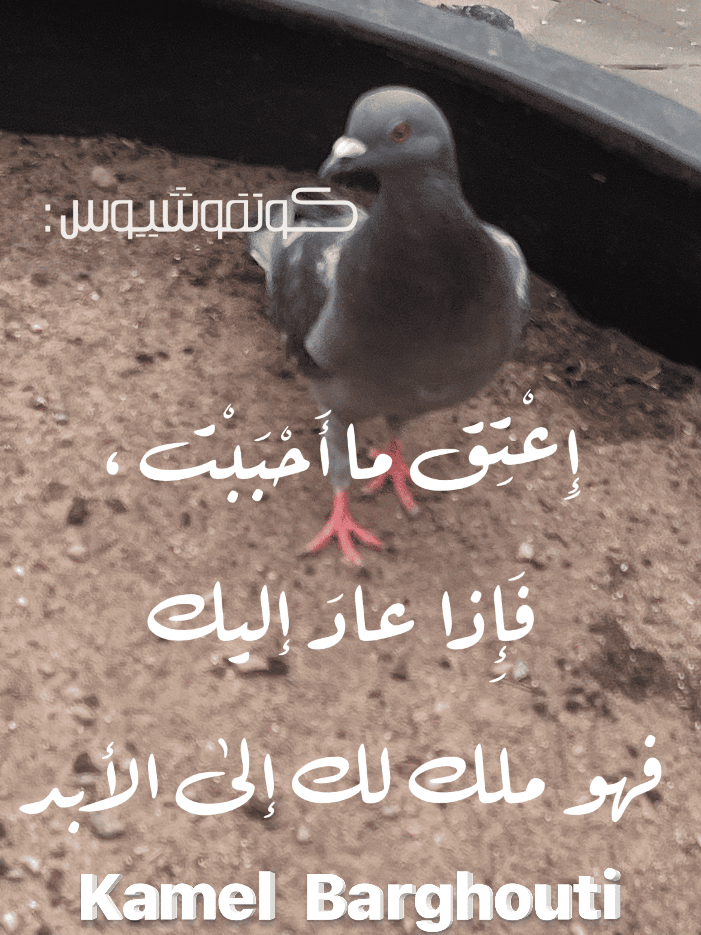 صداقة – اقتباس 112