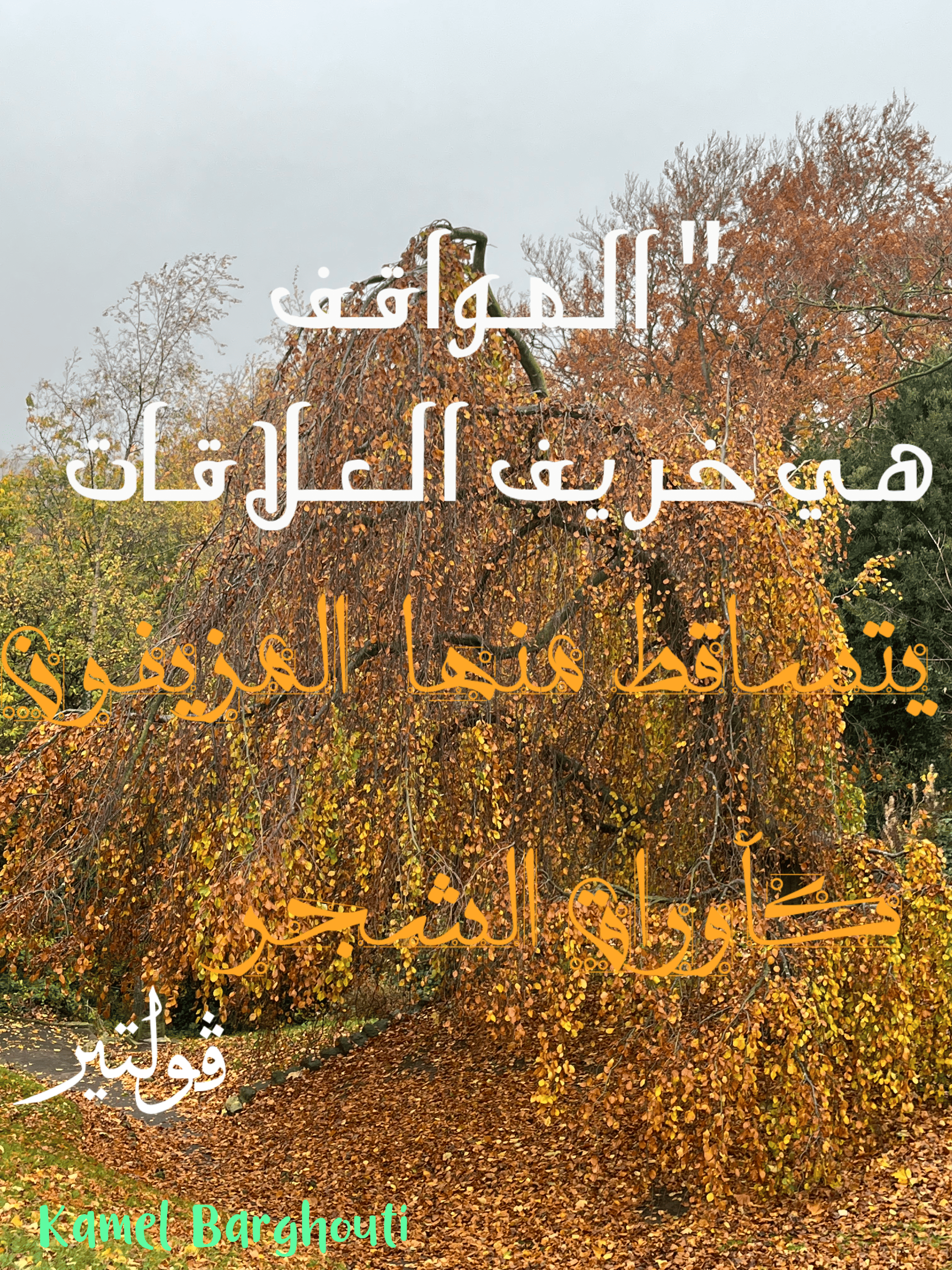 صداقة – اقتباس 98