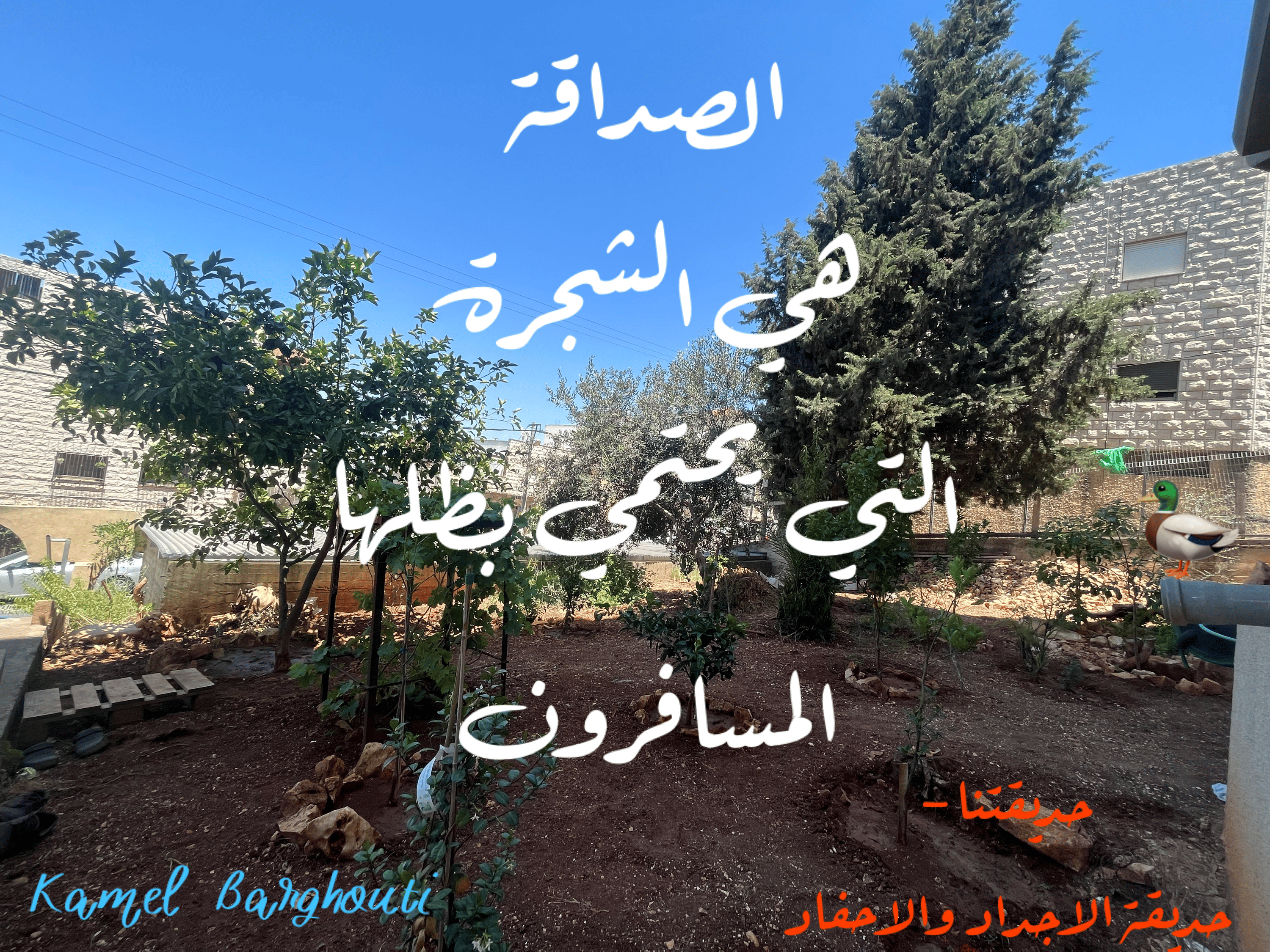 صداقة – اقتباس 81