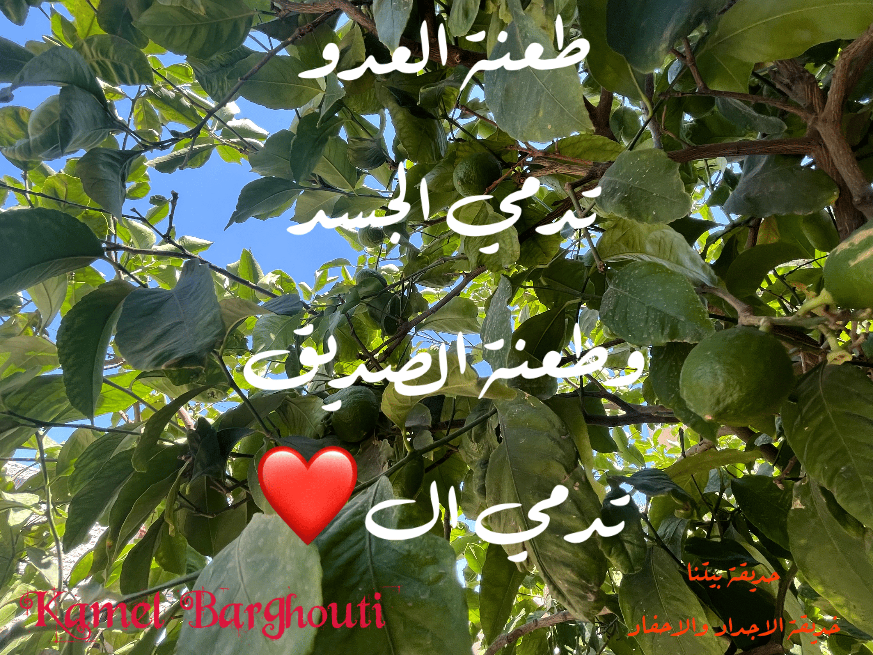 صداقة – اقتباس 76