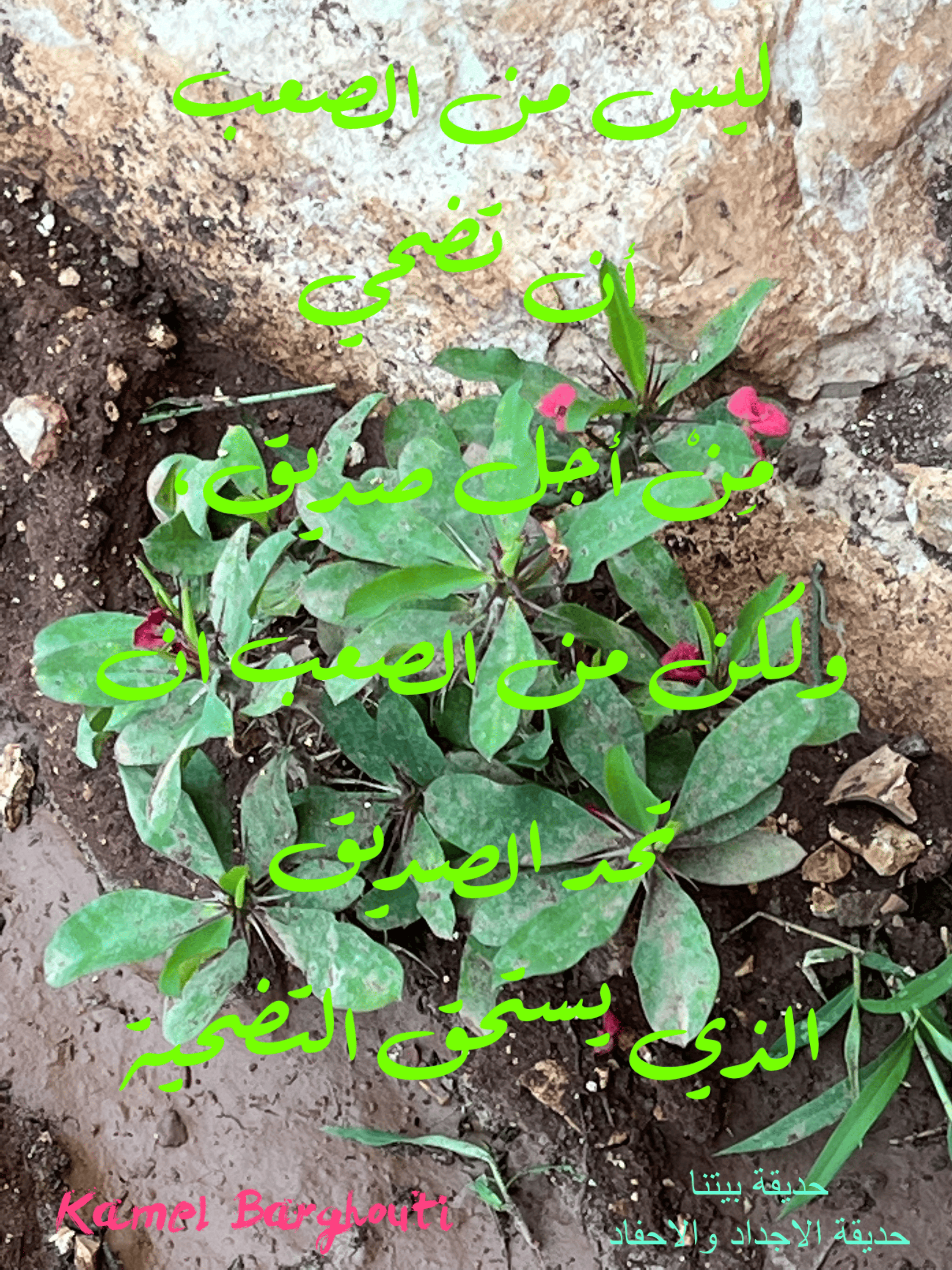 صداقة – اقتباس 77