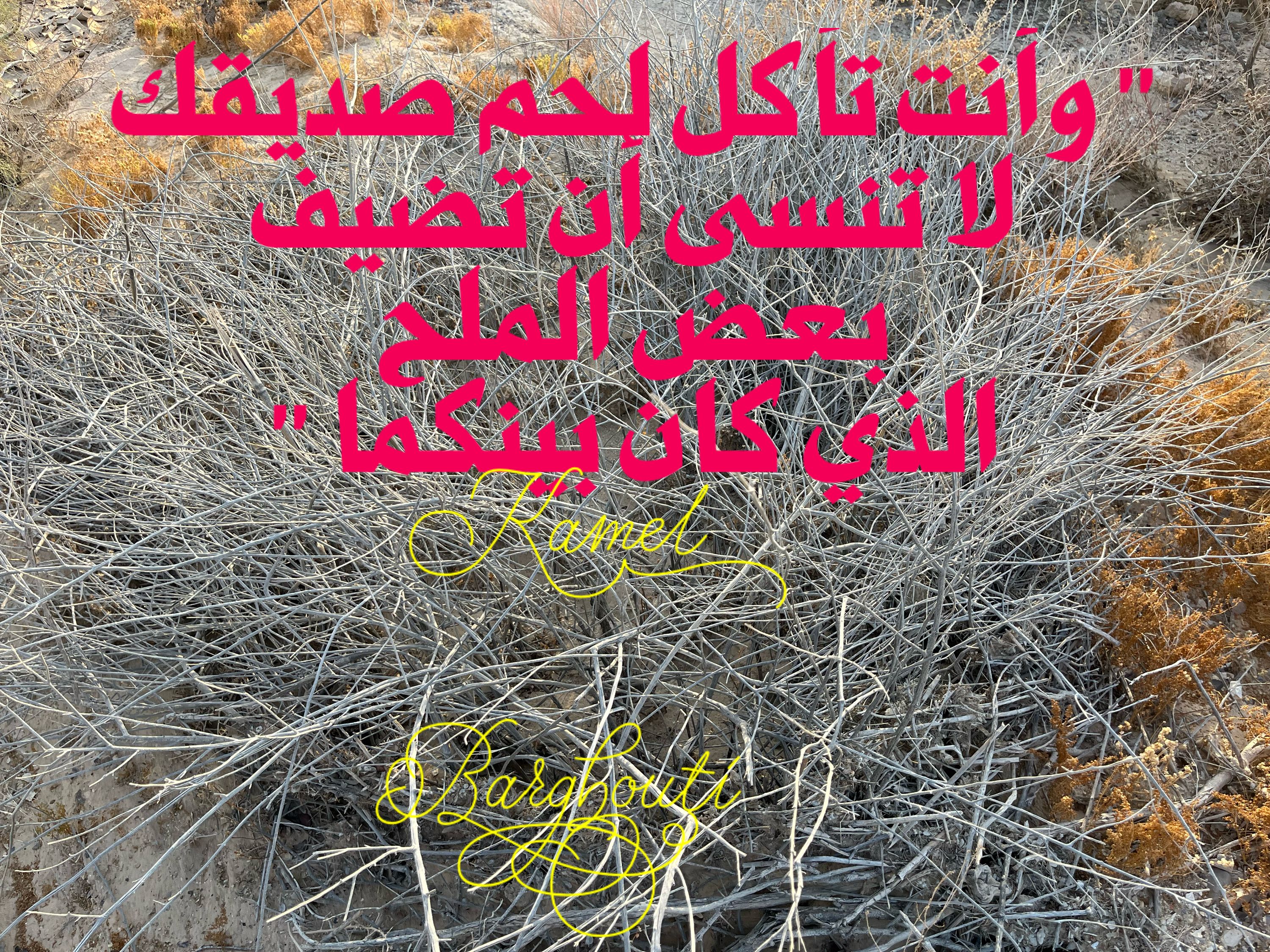 صداقة – اقتباس 62