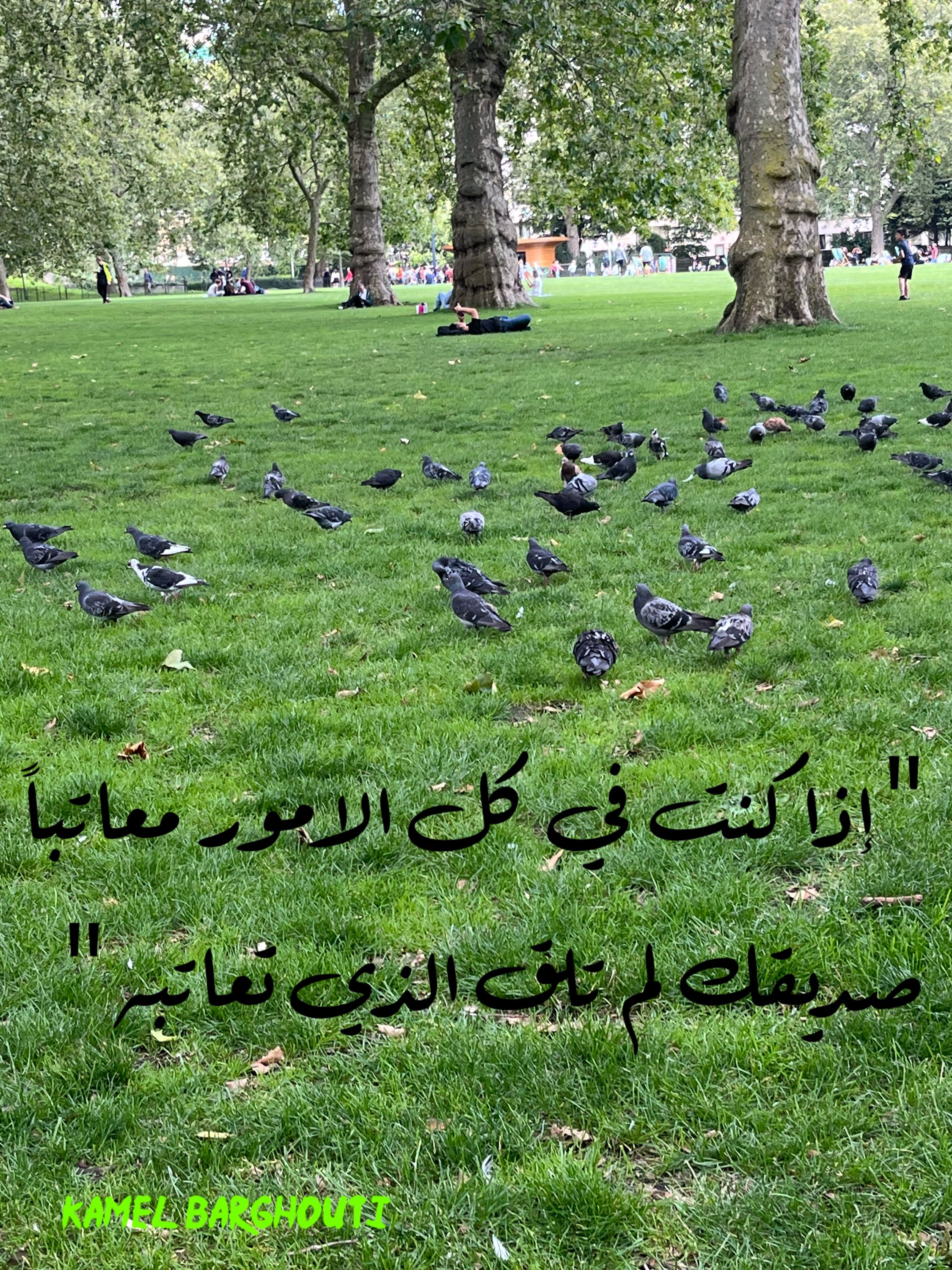 صداقة – اقتباس 41