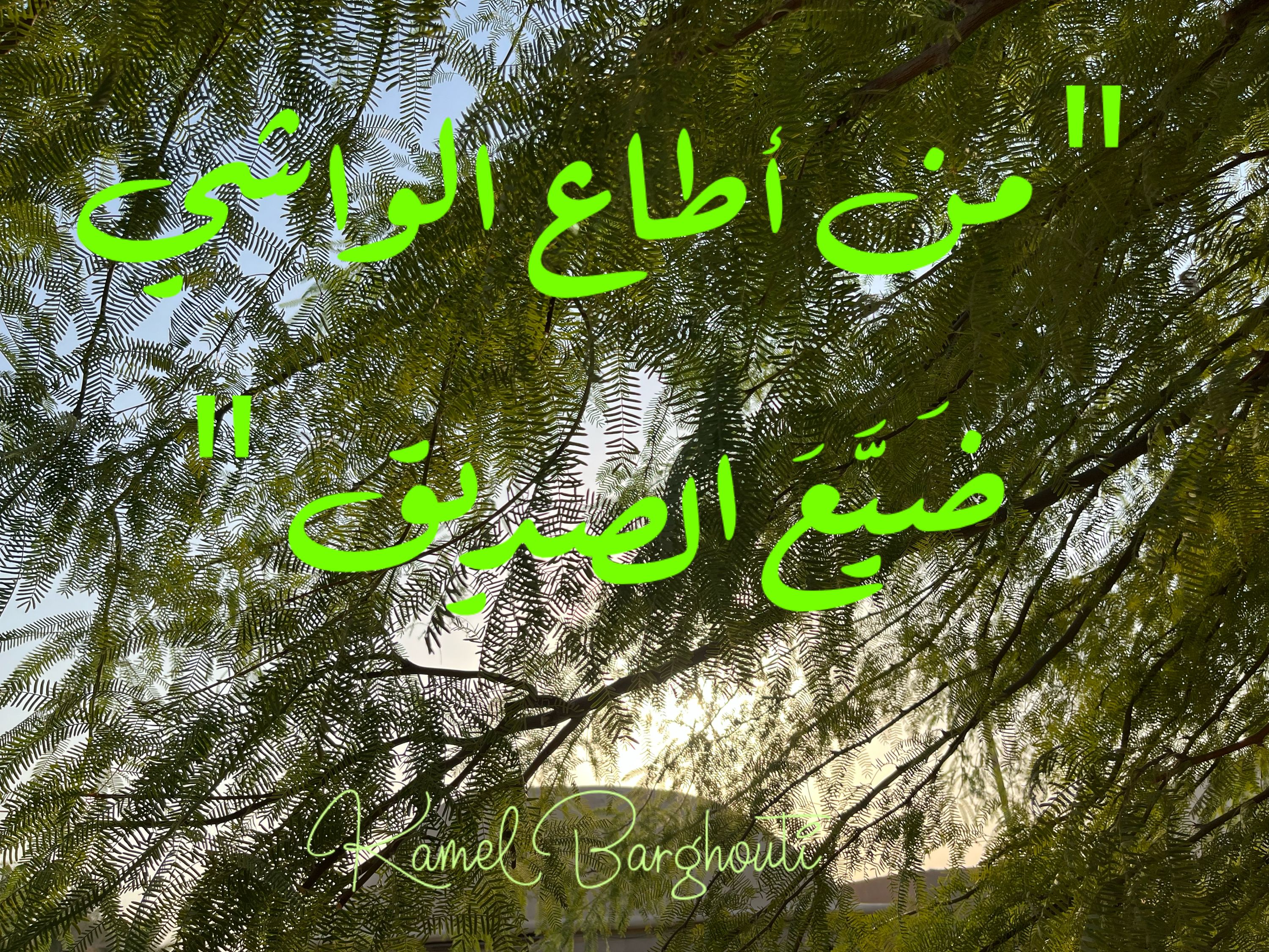 صداقة – اقتباس 49