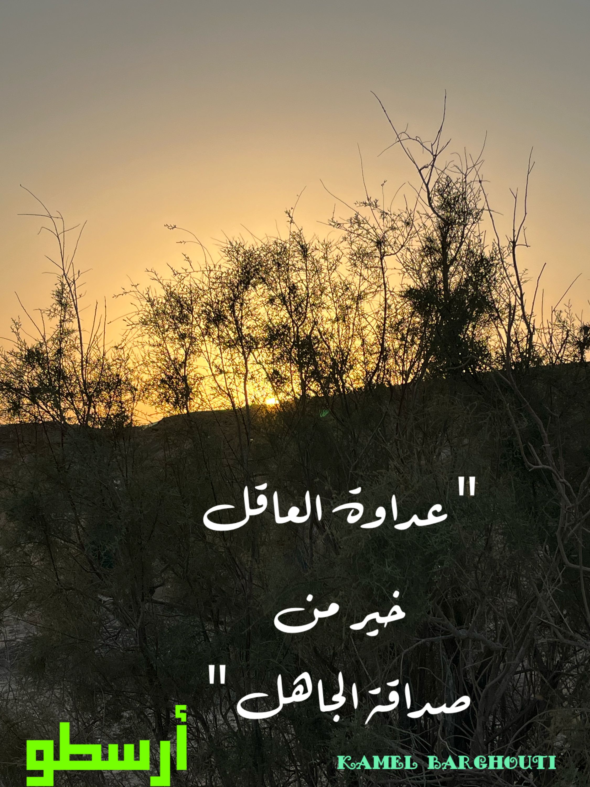 صداقة – اقتباس 48