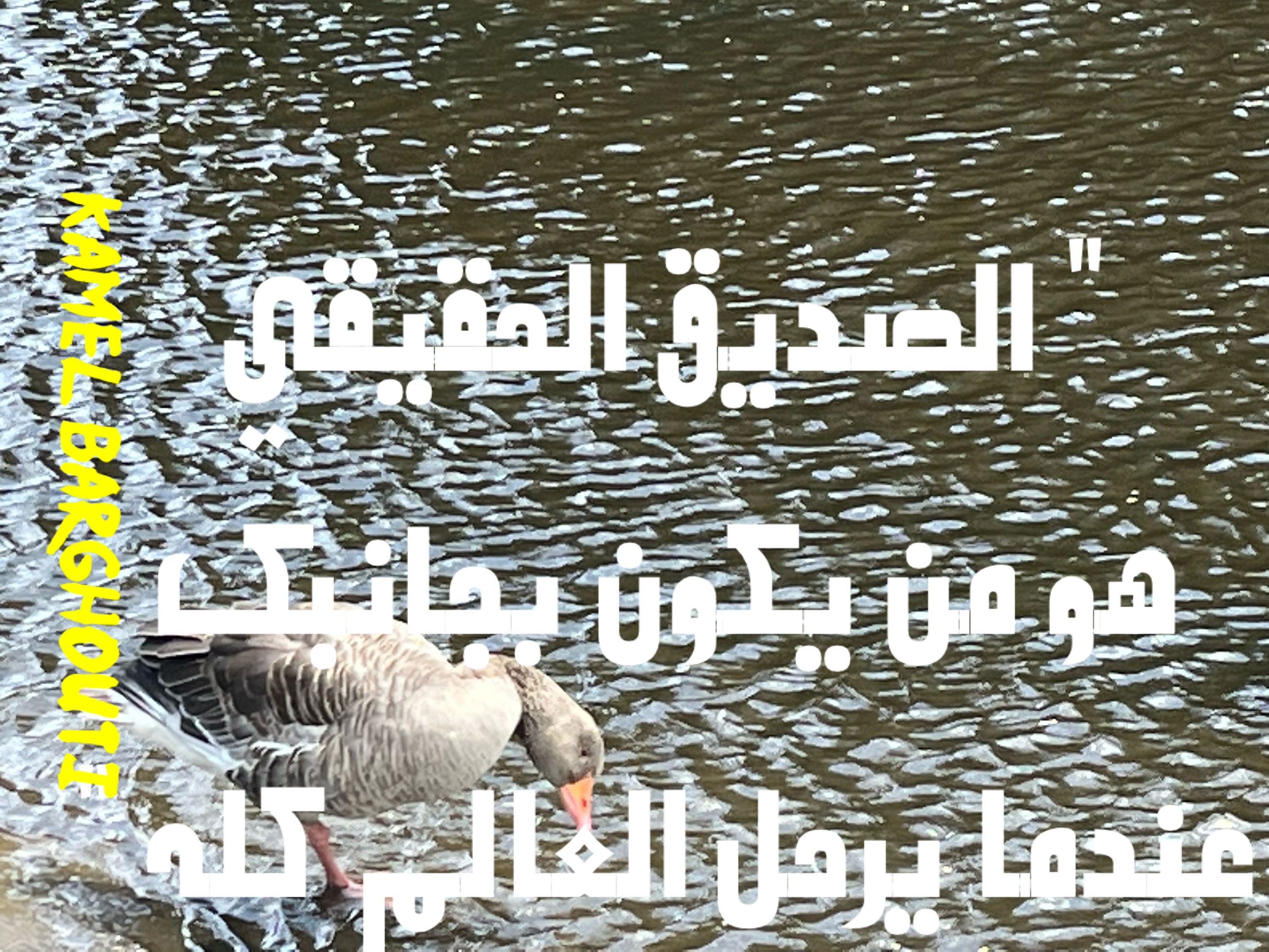 صداقة – اقتباس 38