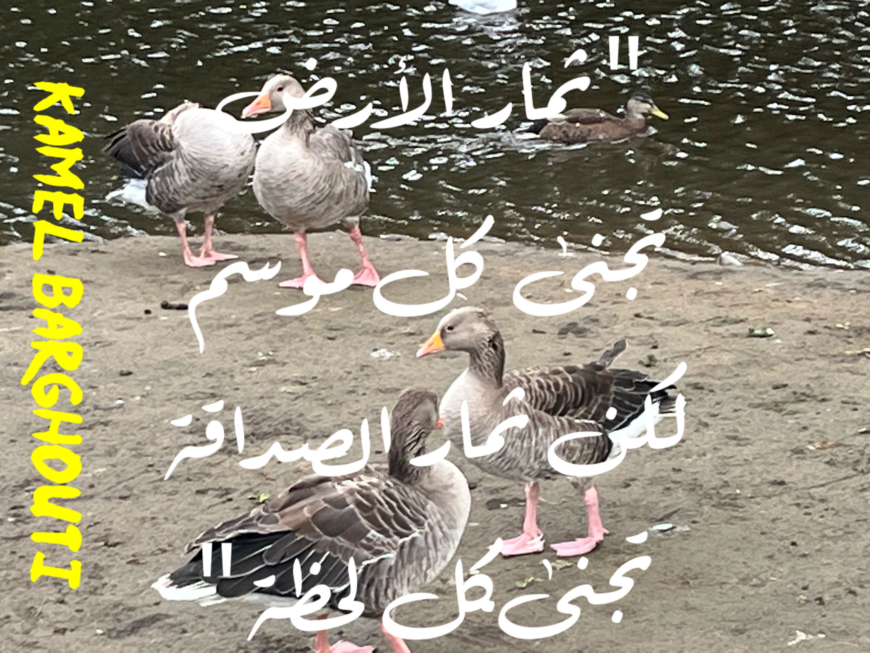 صداقة – اقتباس 39