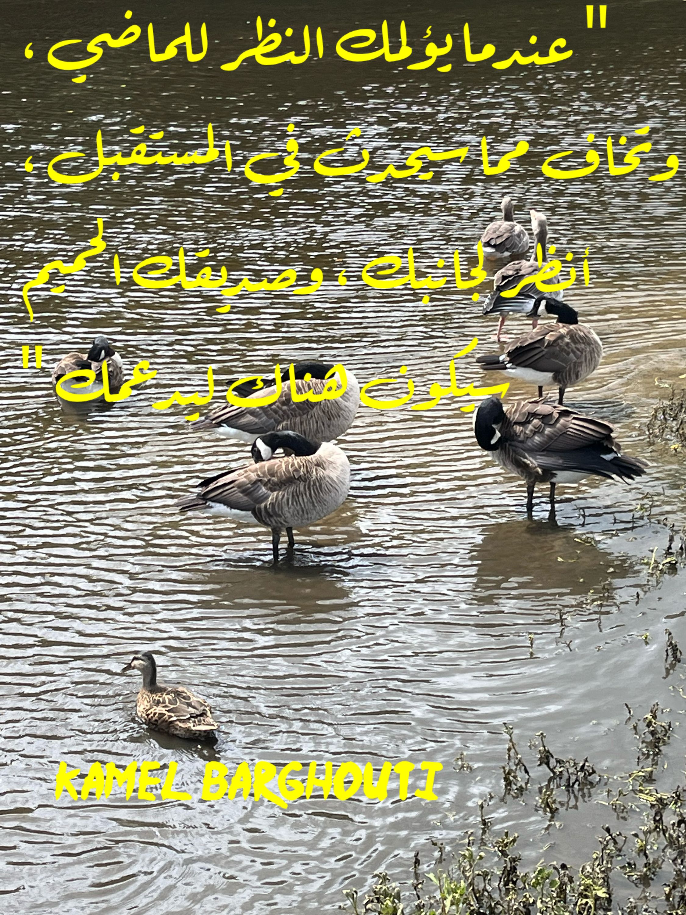 صداقة – اقتباس 45
