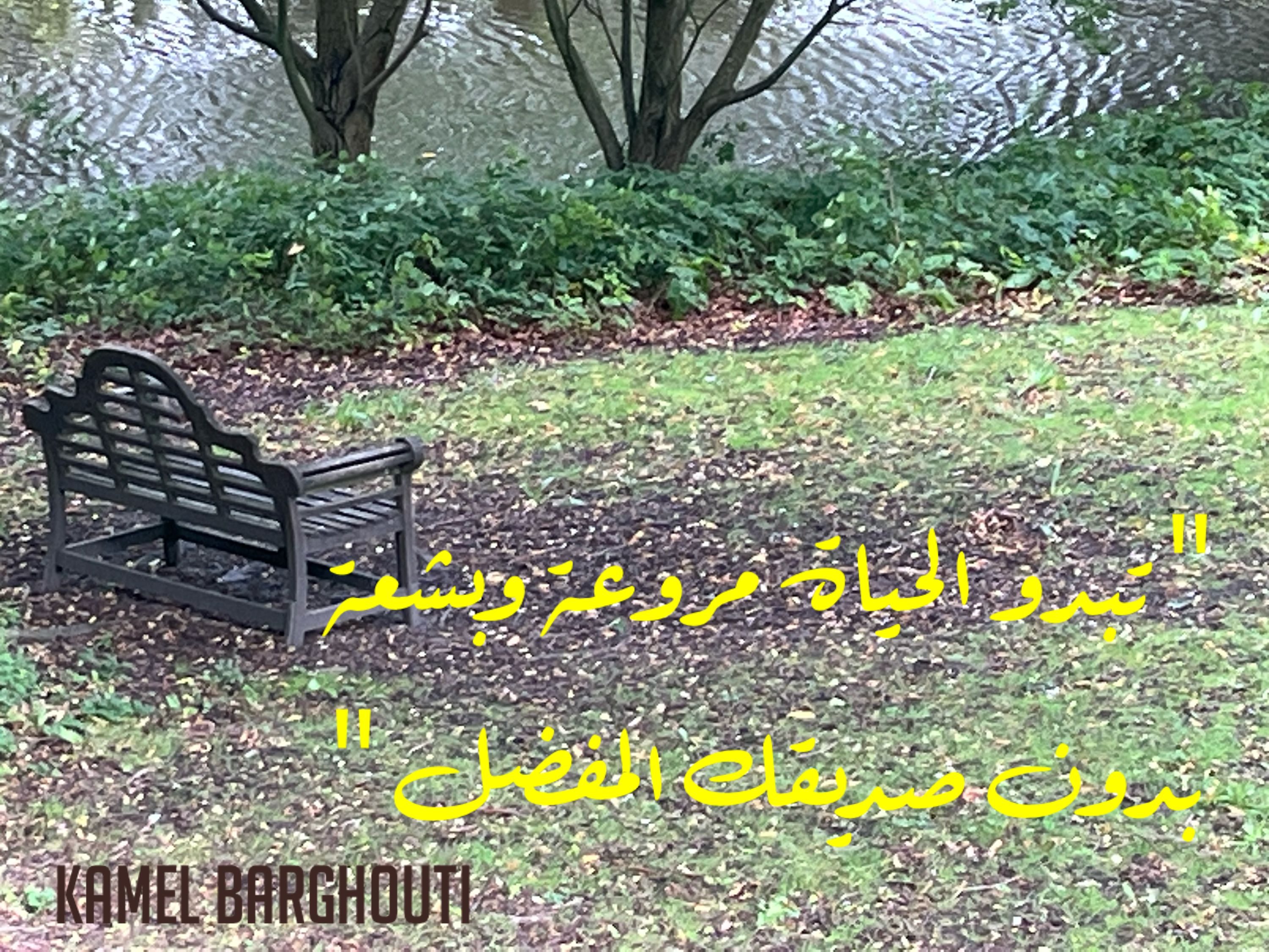 صداقة – اقتباس 40